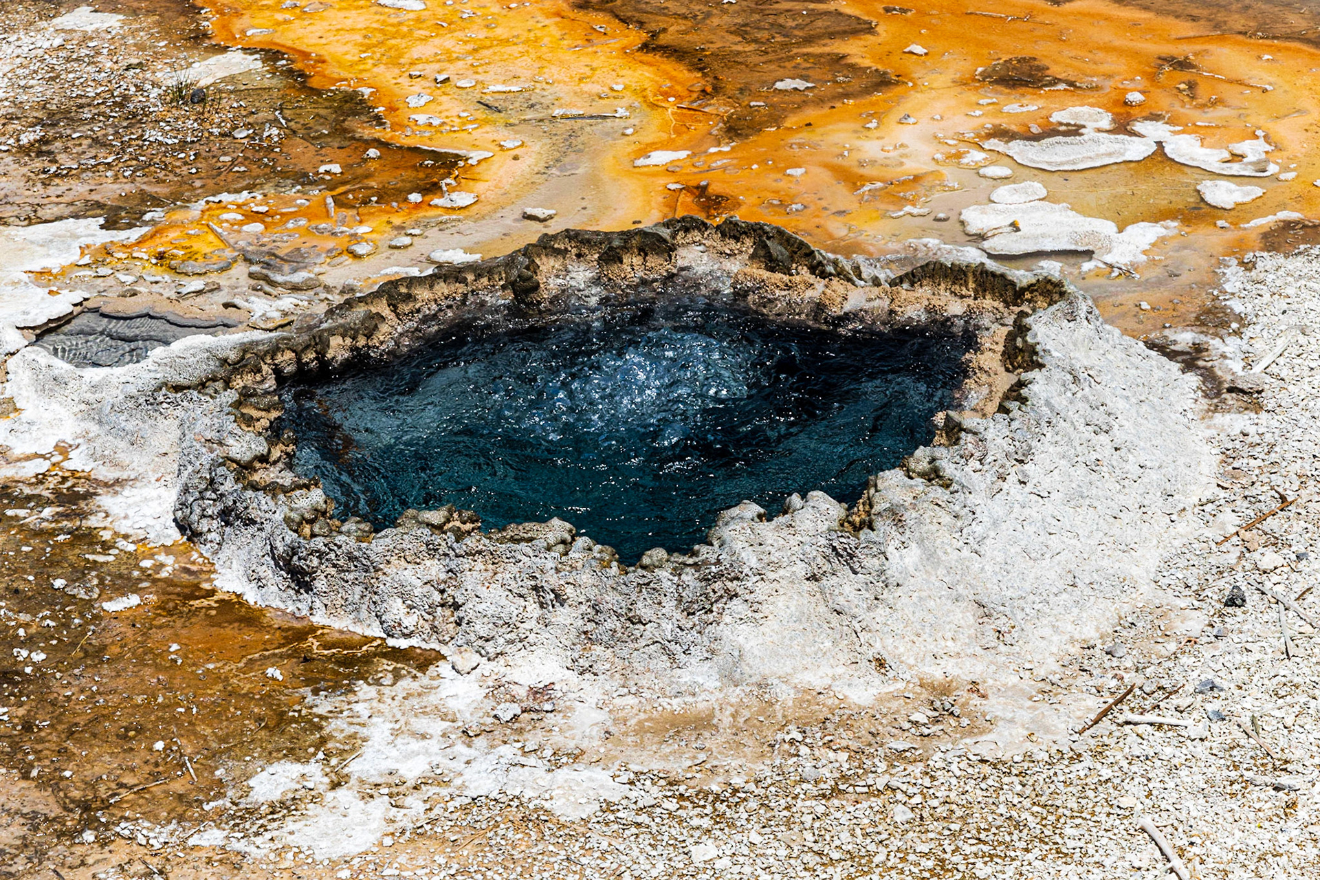 Upper Geyser Basin
