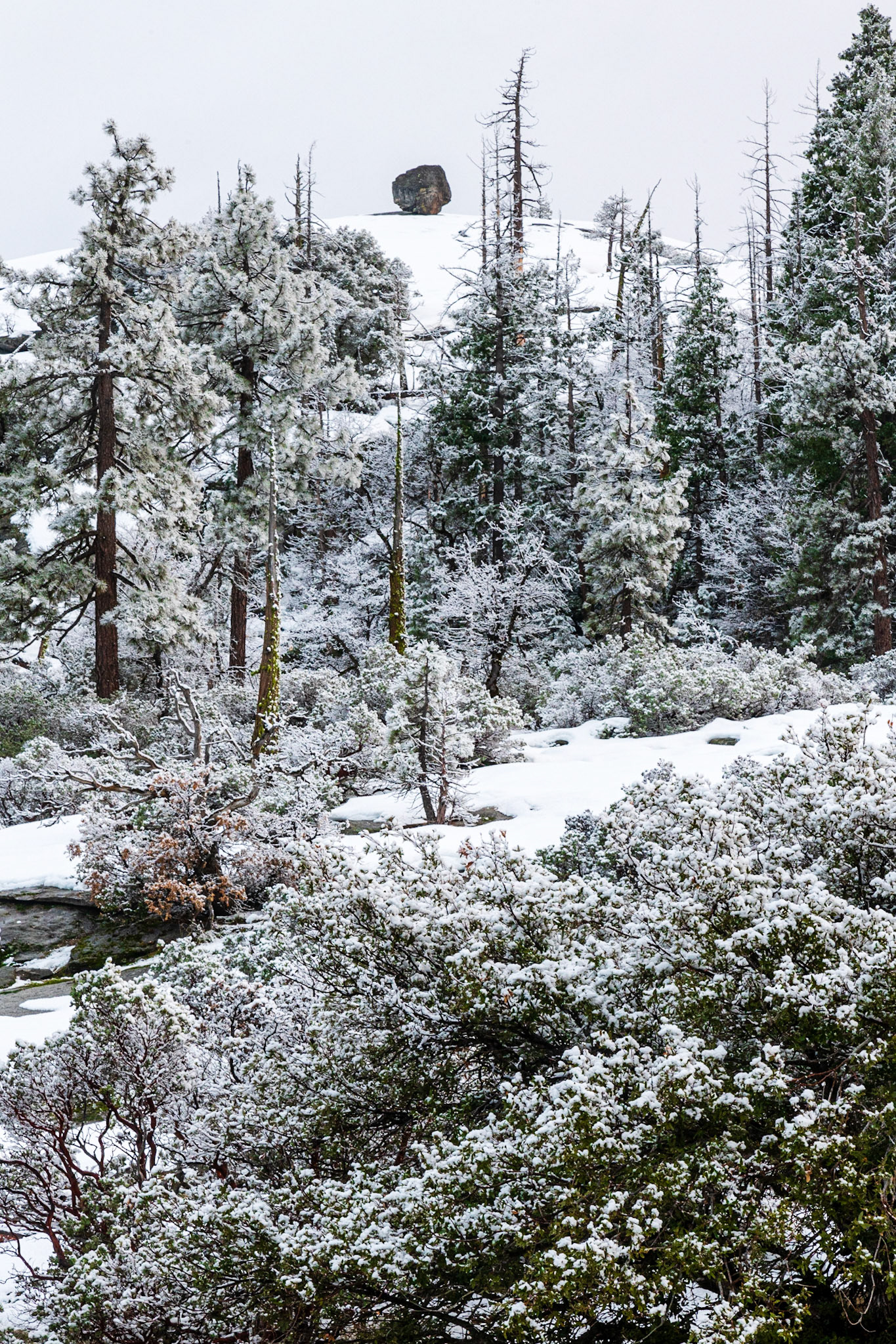 Dewey Point Meadow Trail