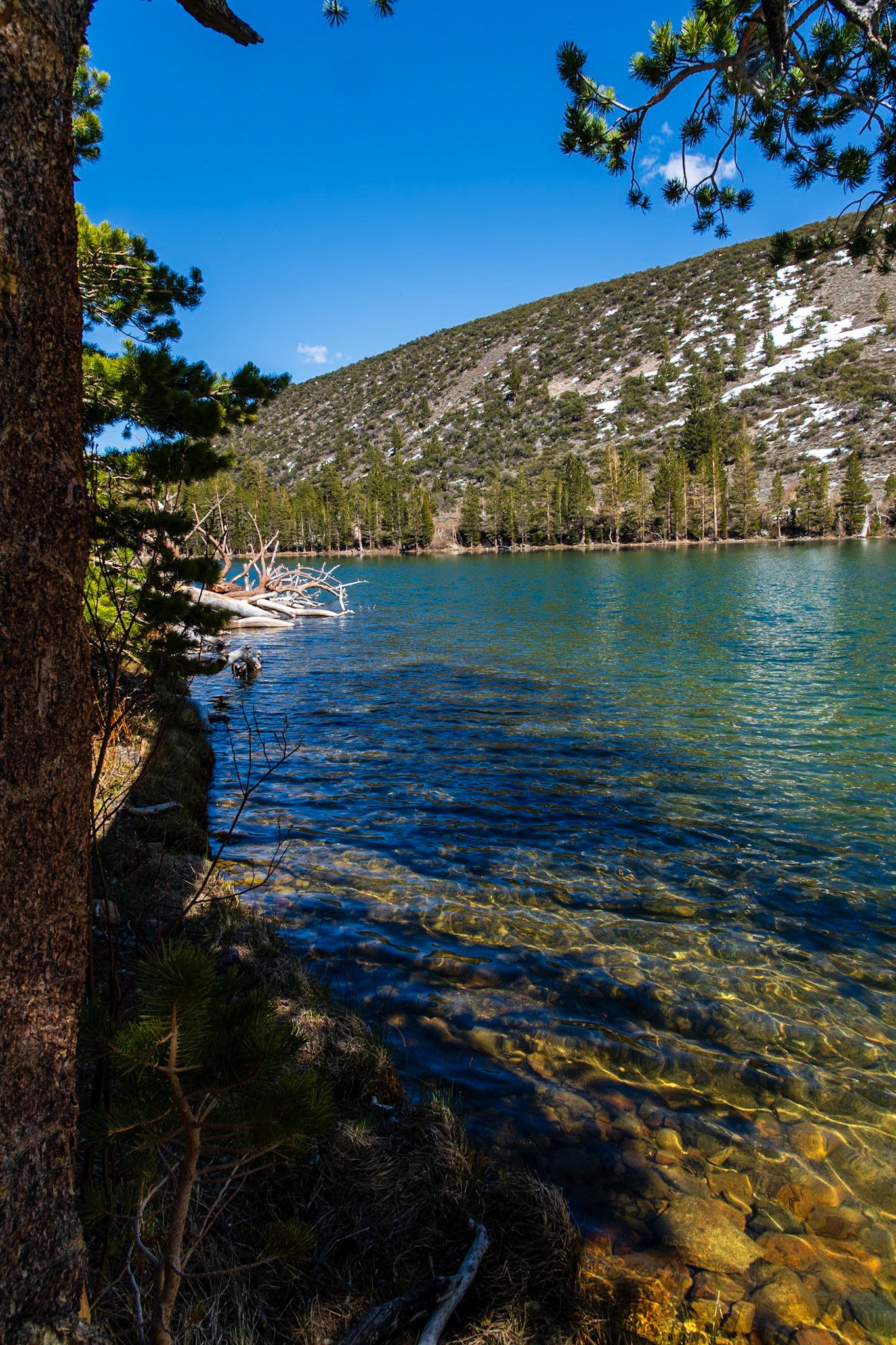 Parker Lake