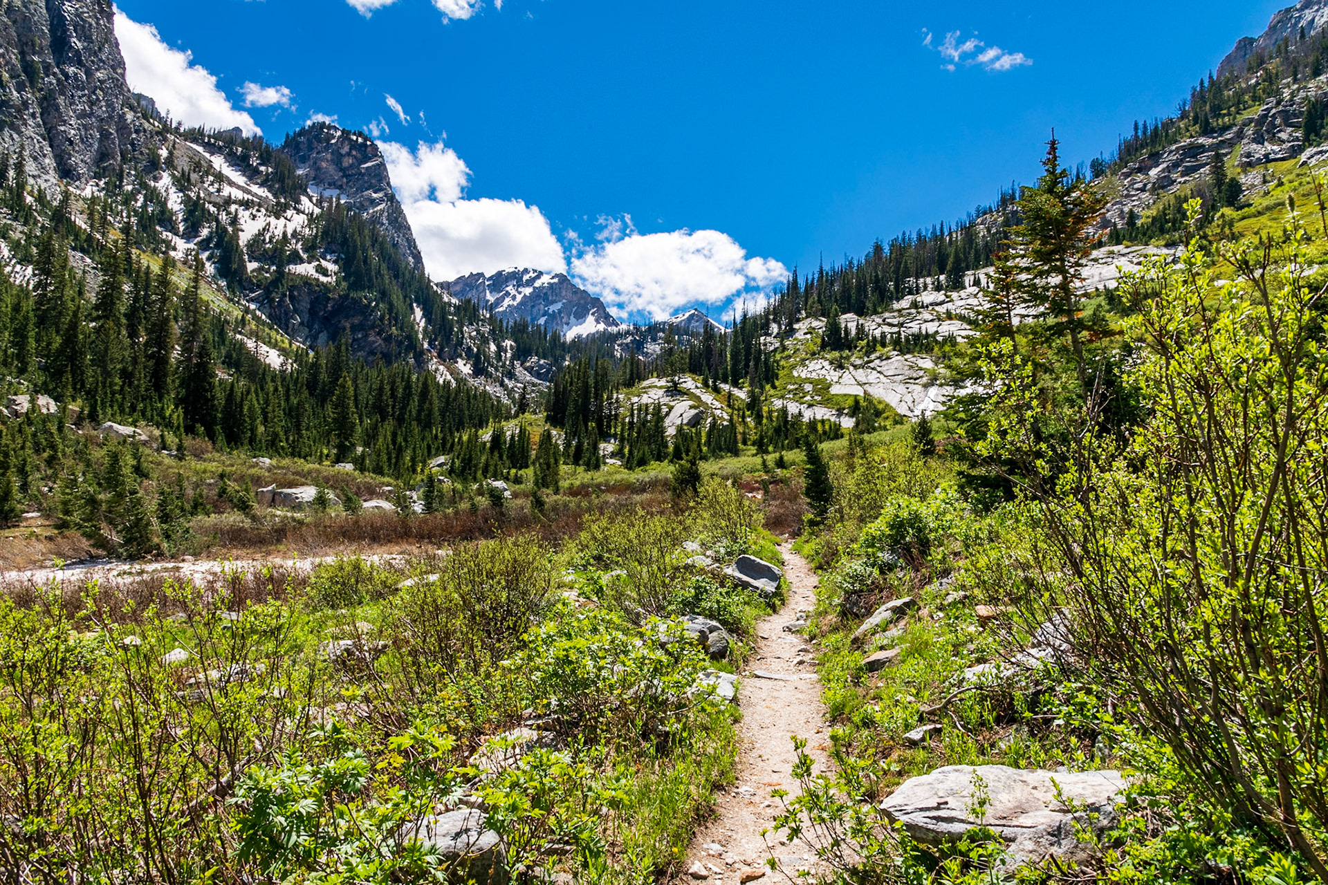 Paintbrush Canyon