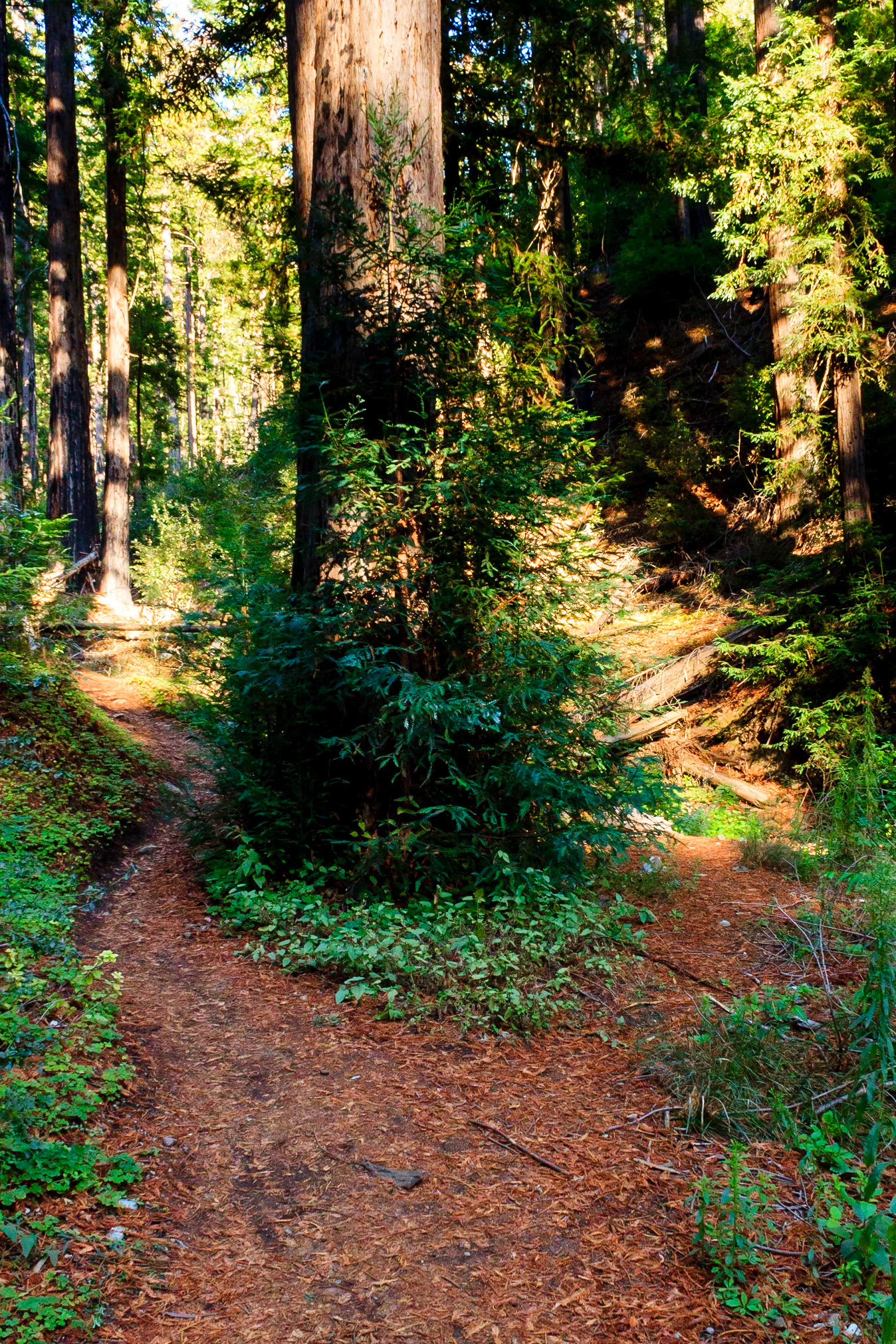 Ewoldsen Trail