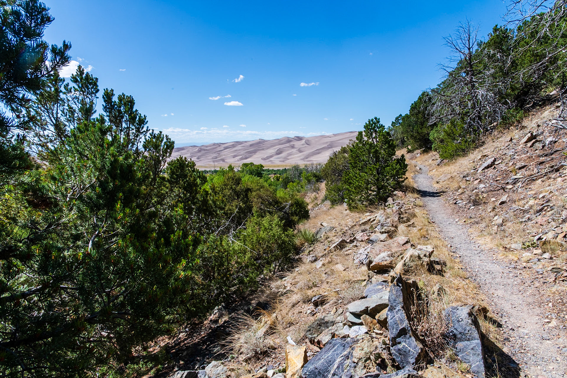 Wellington Ditch Trail