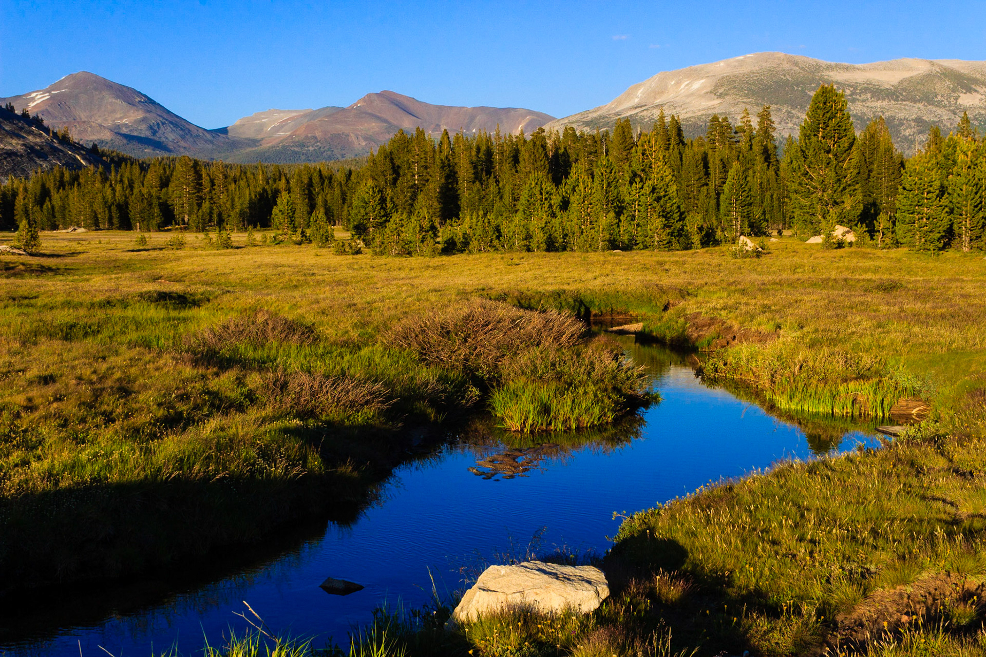 Tuolumne Meadows