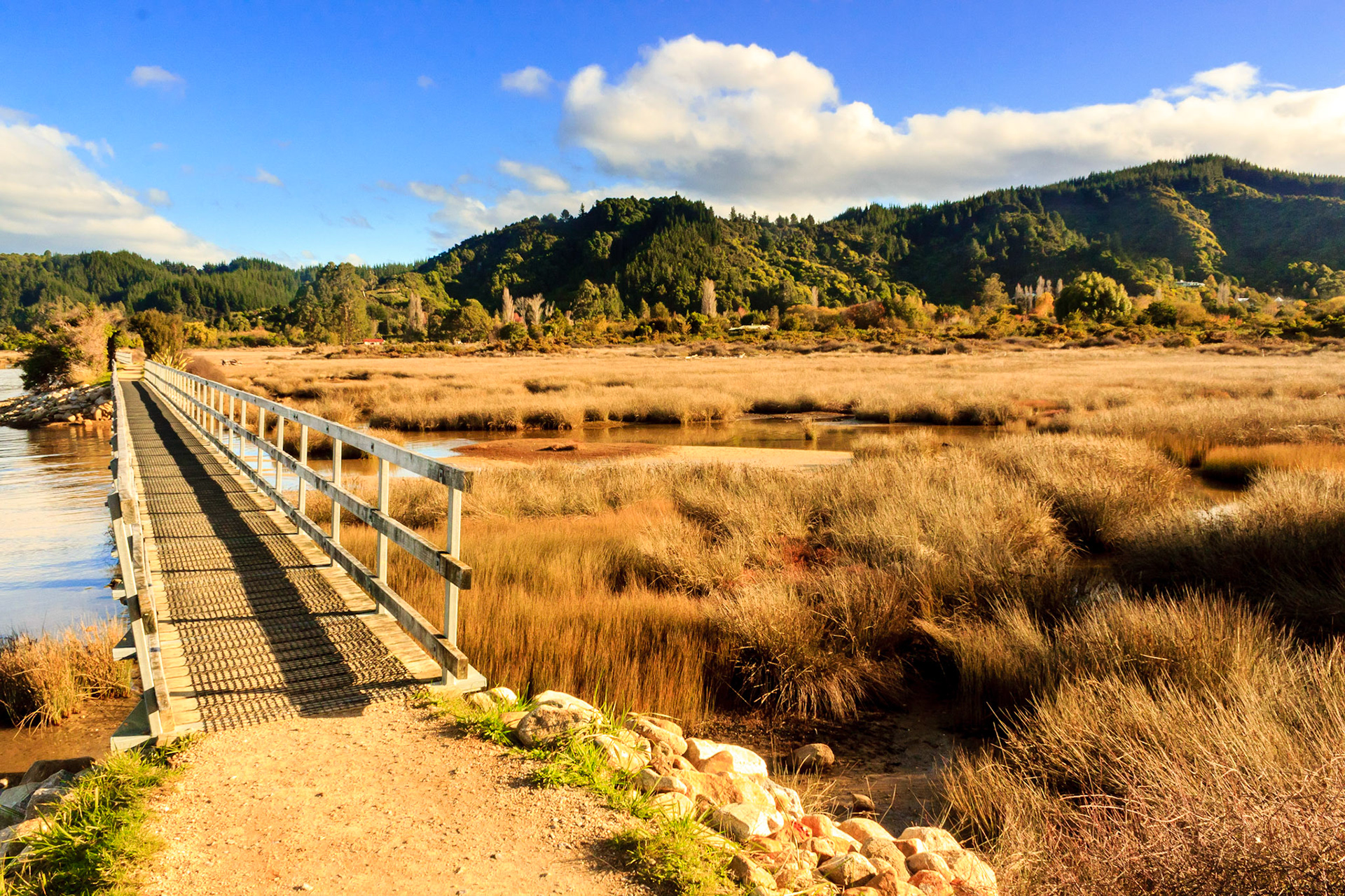 Wetlands at the terminus of the hike.