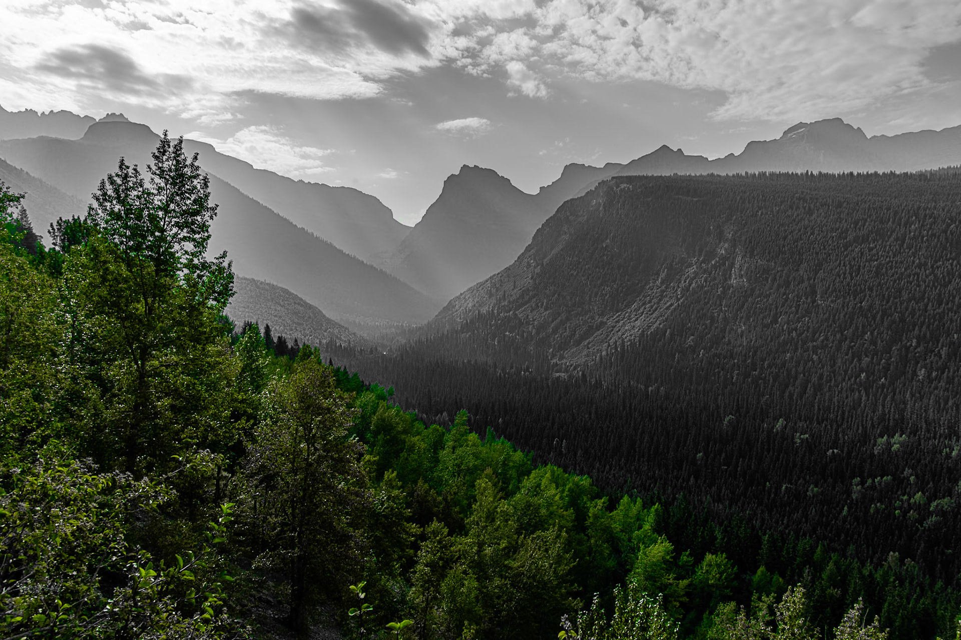 Logan Creek drainage from near Crystal Point.