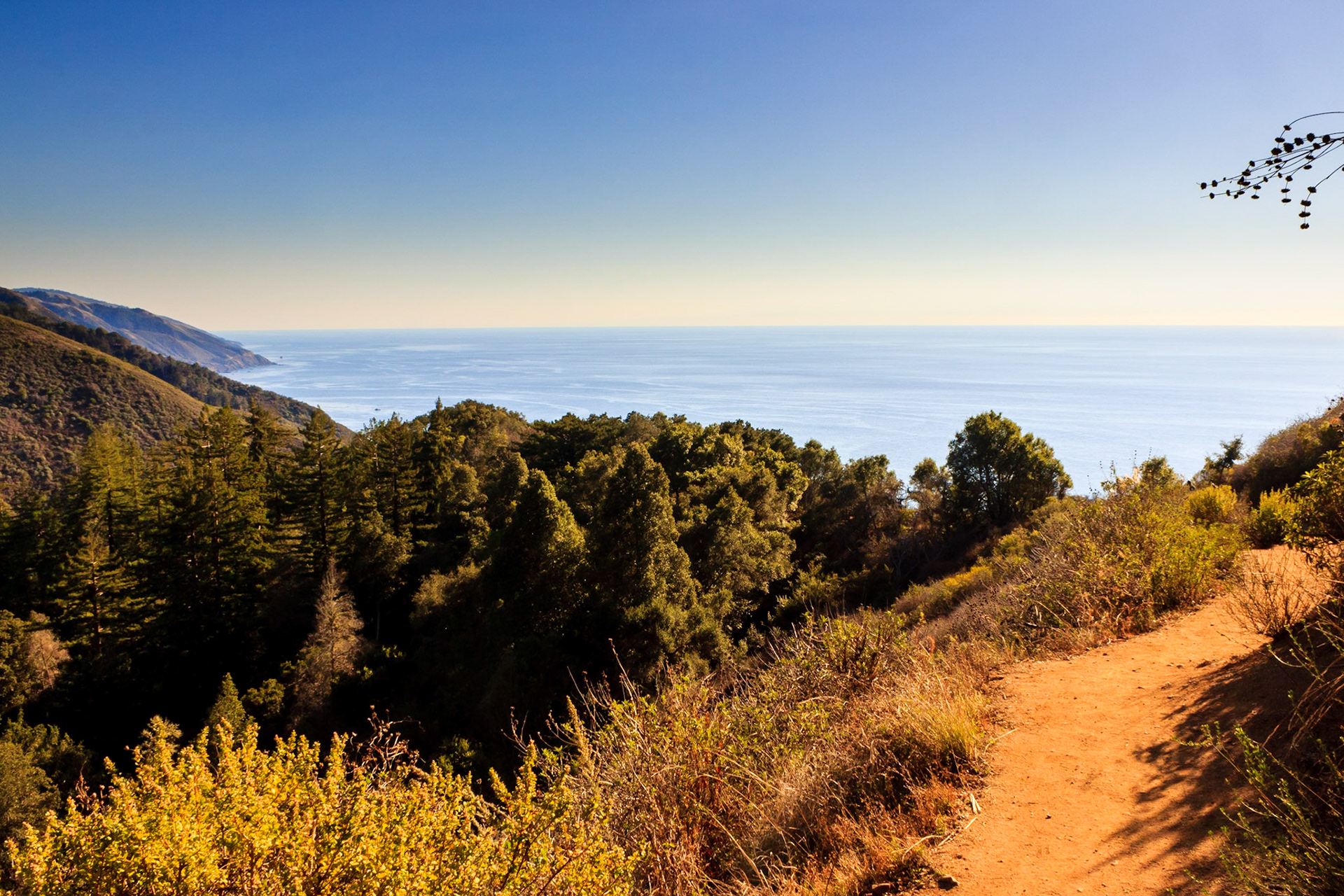 Lookout Trail