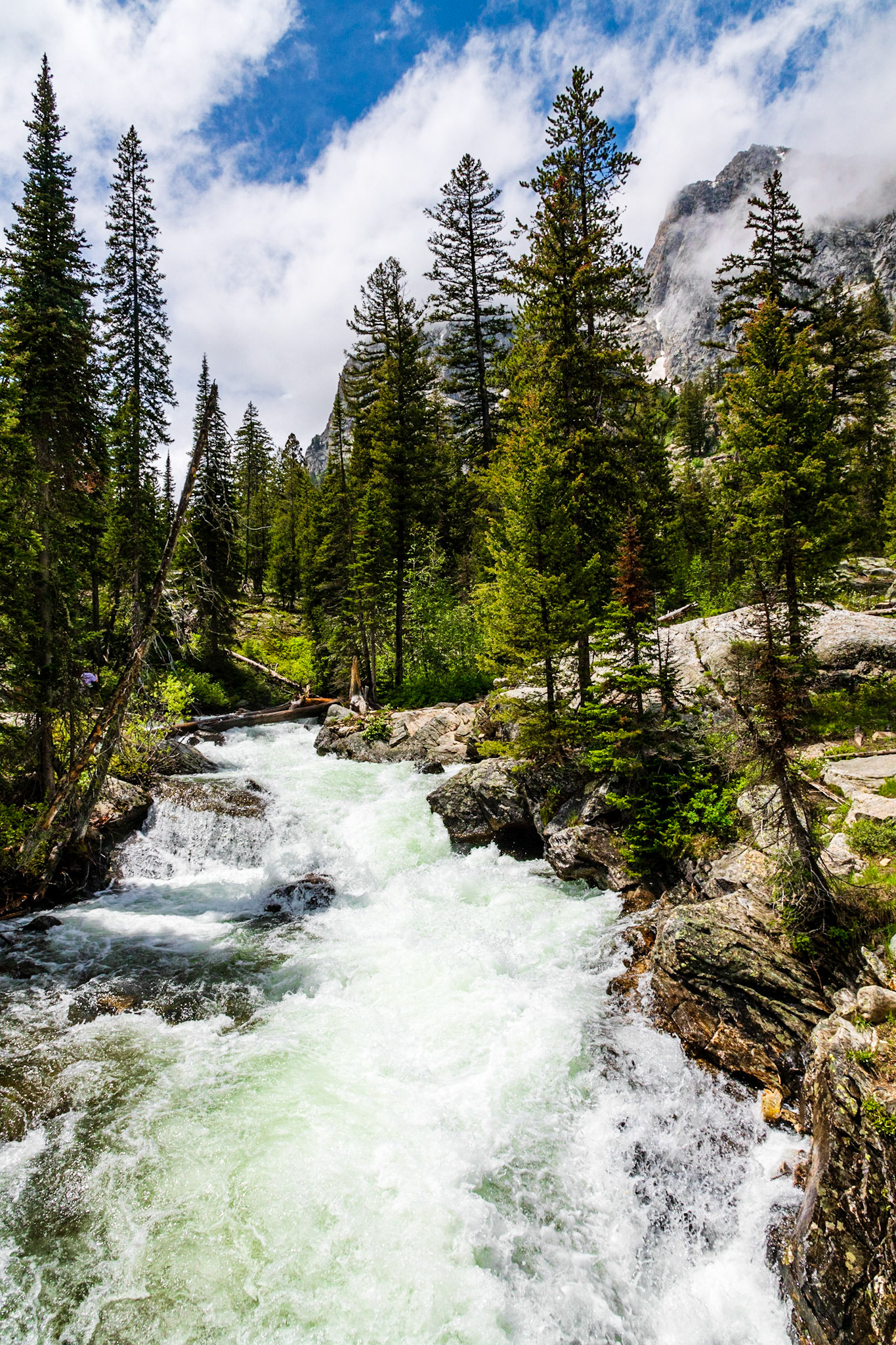 Cascade Creek