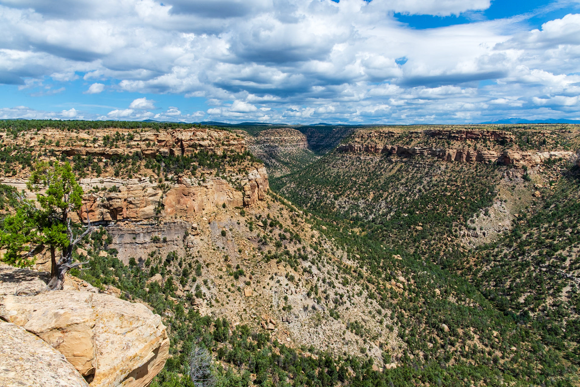 View of Soda Canyon Overlook from exit of Balcony House.