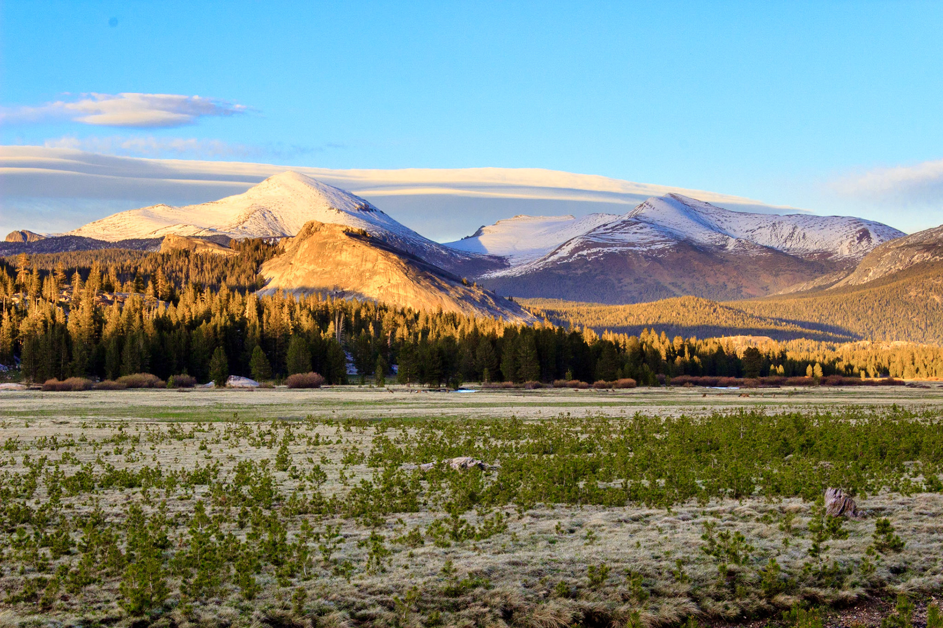 Tuolumne Meadows