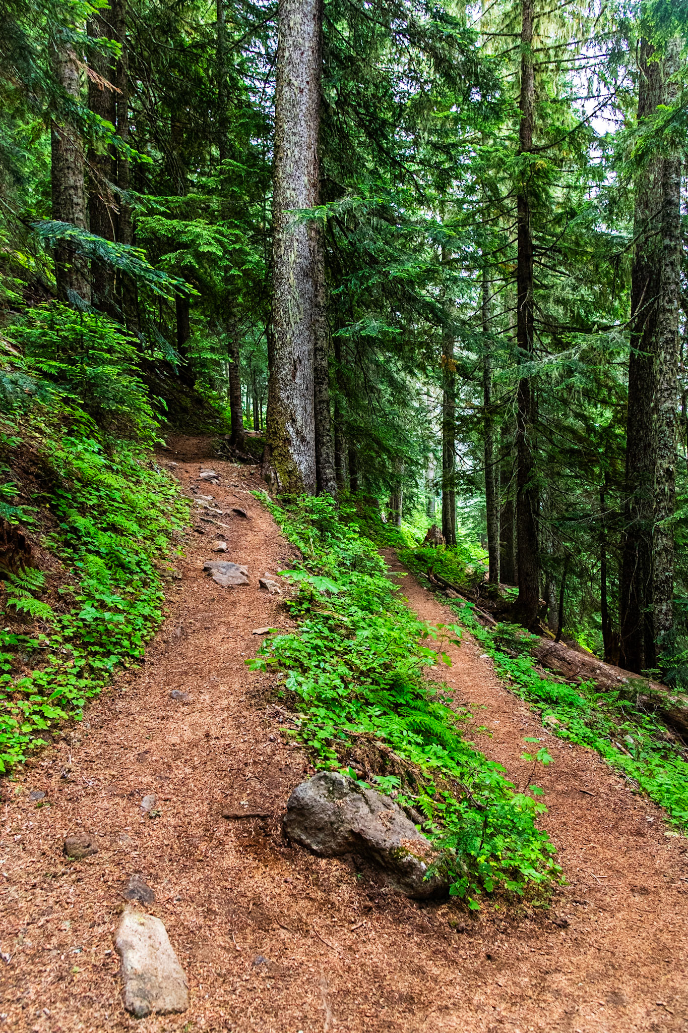 Cascade Pass Trail