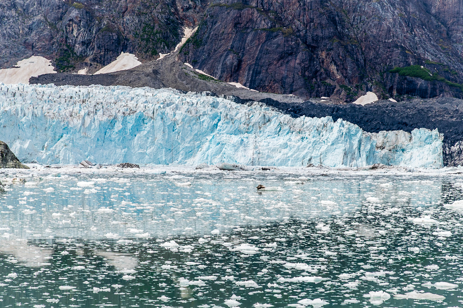 Glacier at the terminus of the Tarr Inlet.