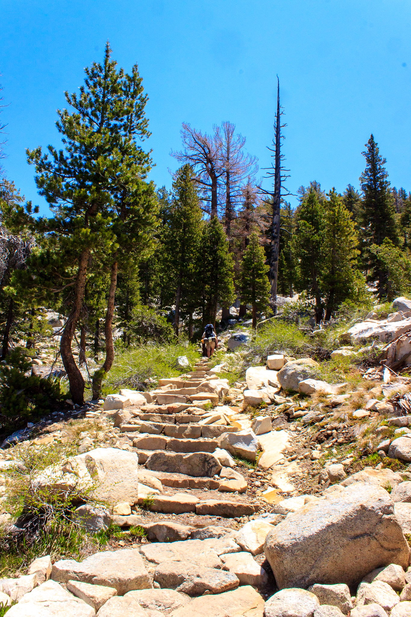 Sunrise Lakes Trail