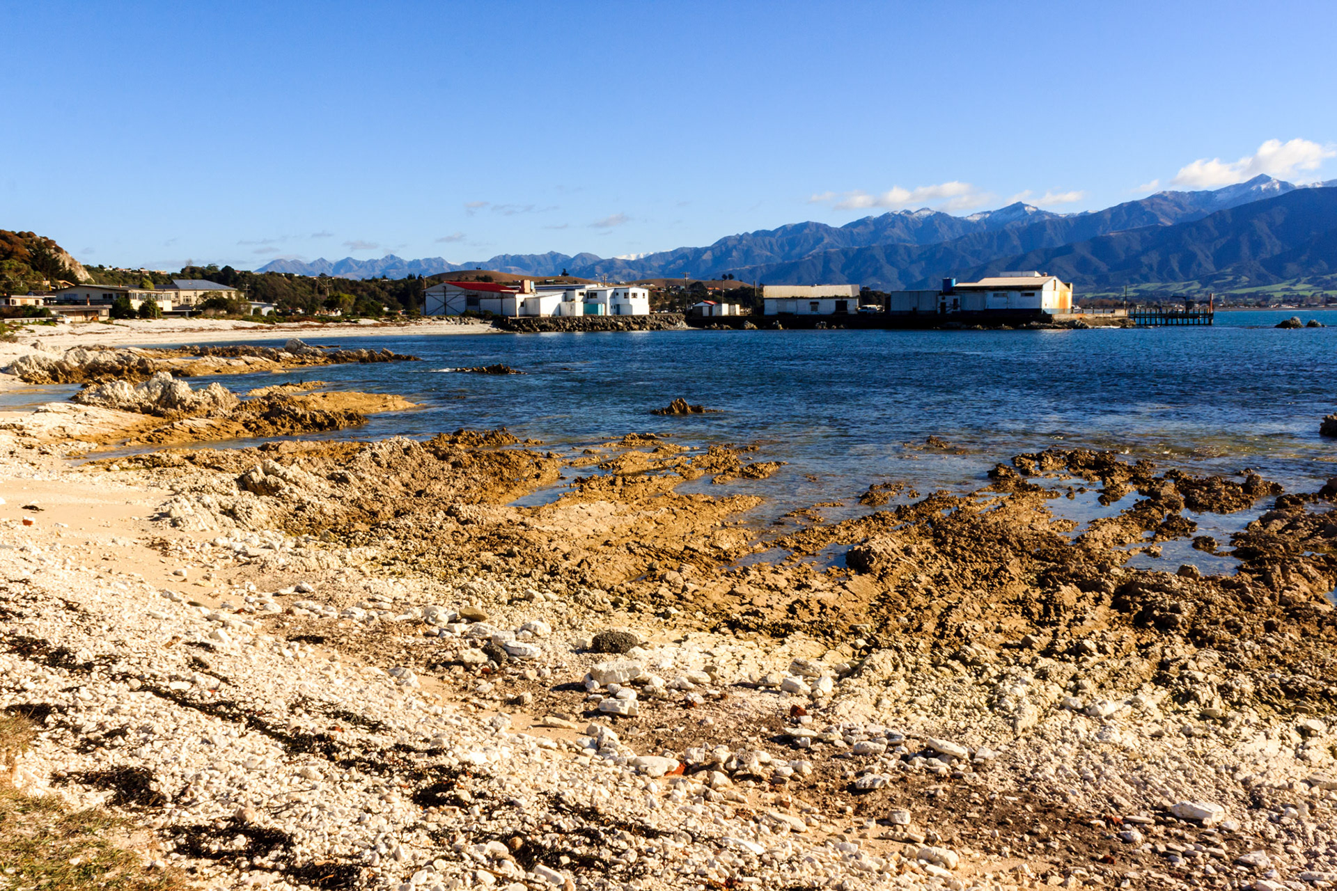 Kaikoura Fishing Industry