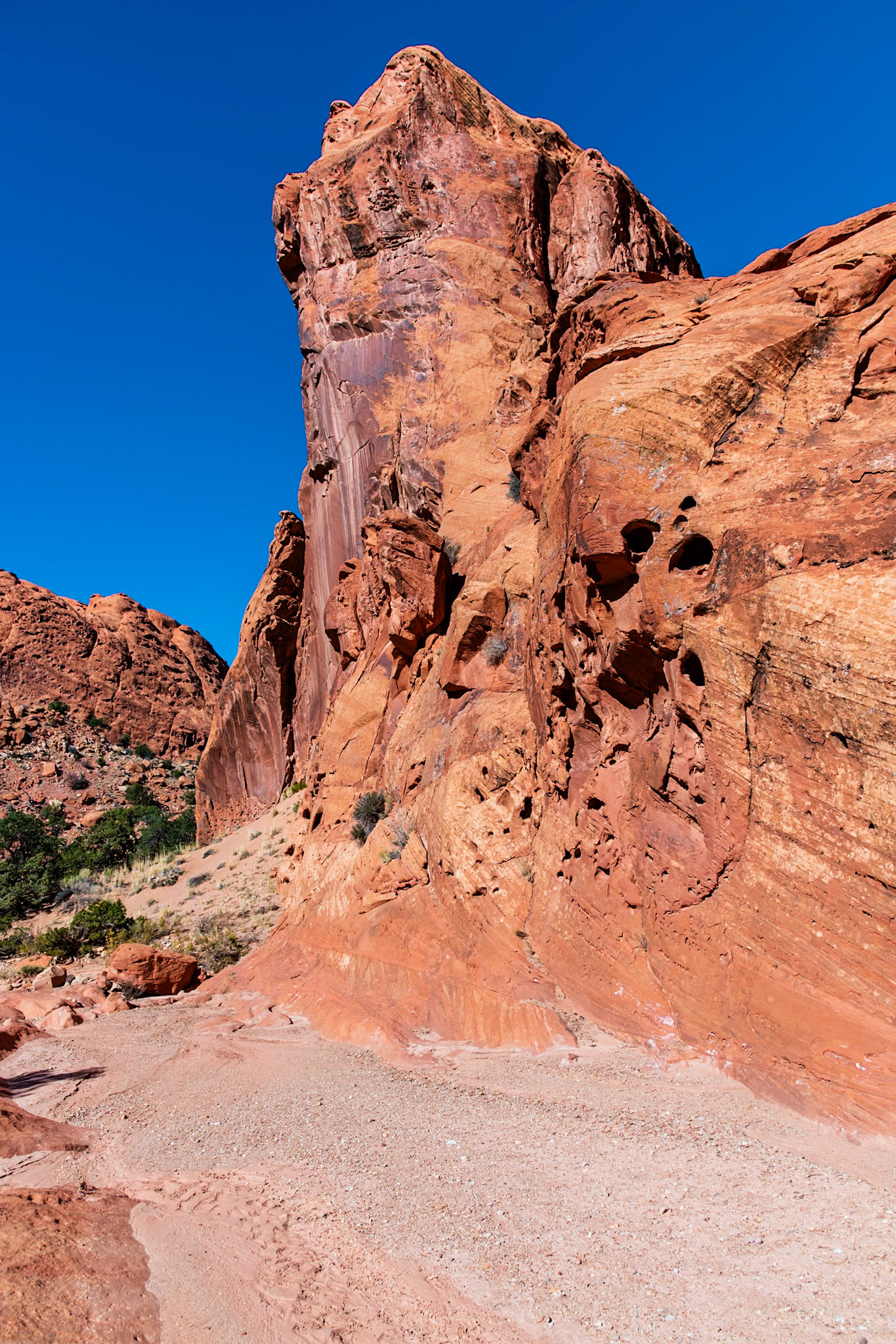 Lower Muley Twist