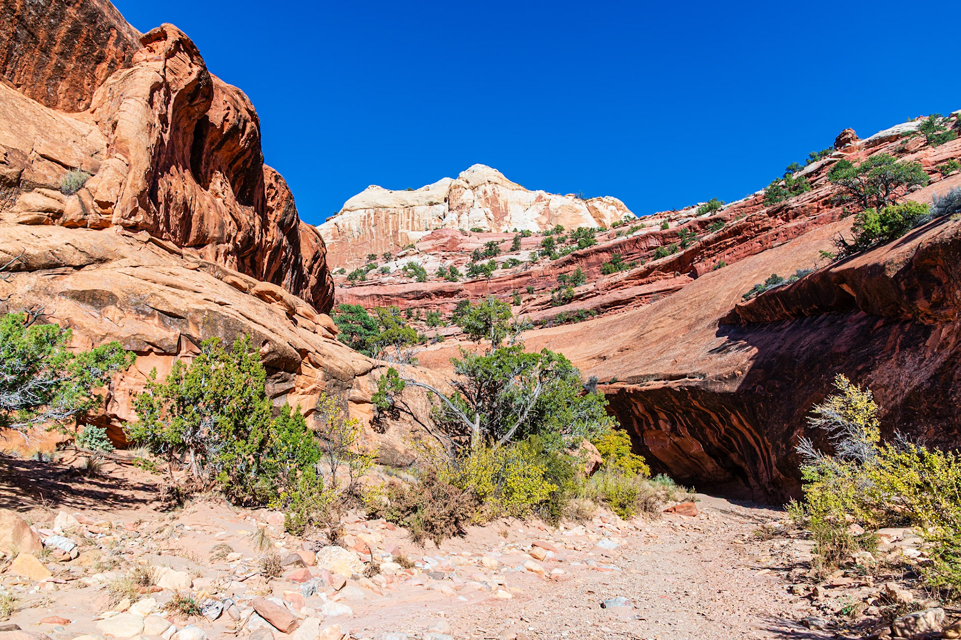 Overhang carved by flash floods.