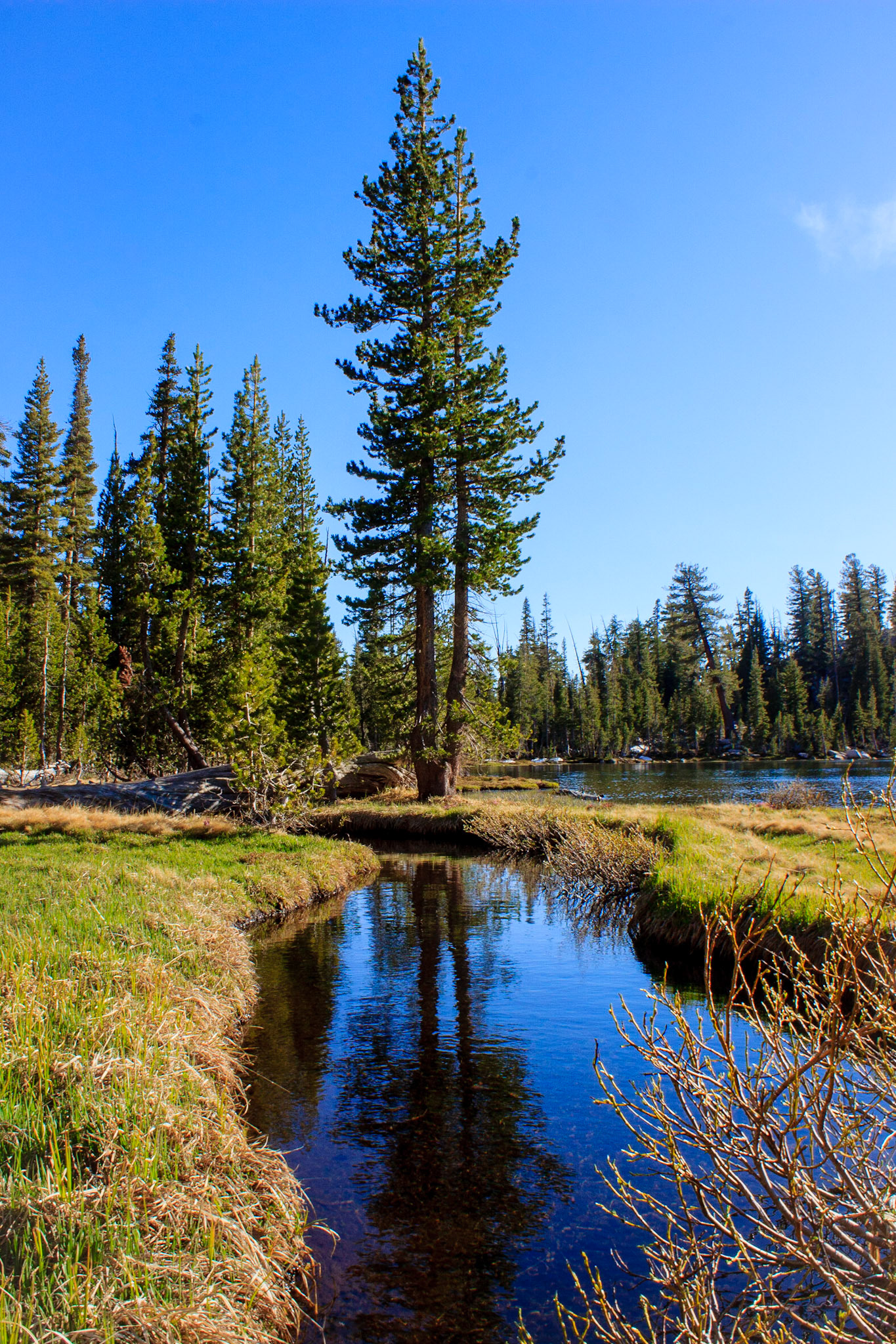 Sunrise Lakes