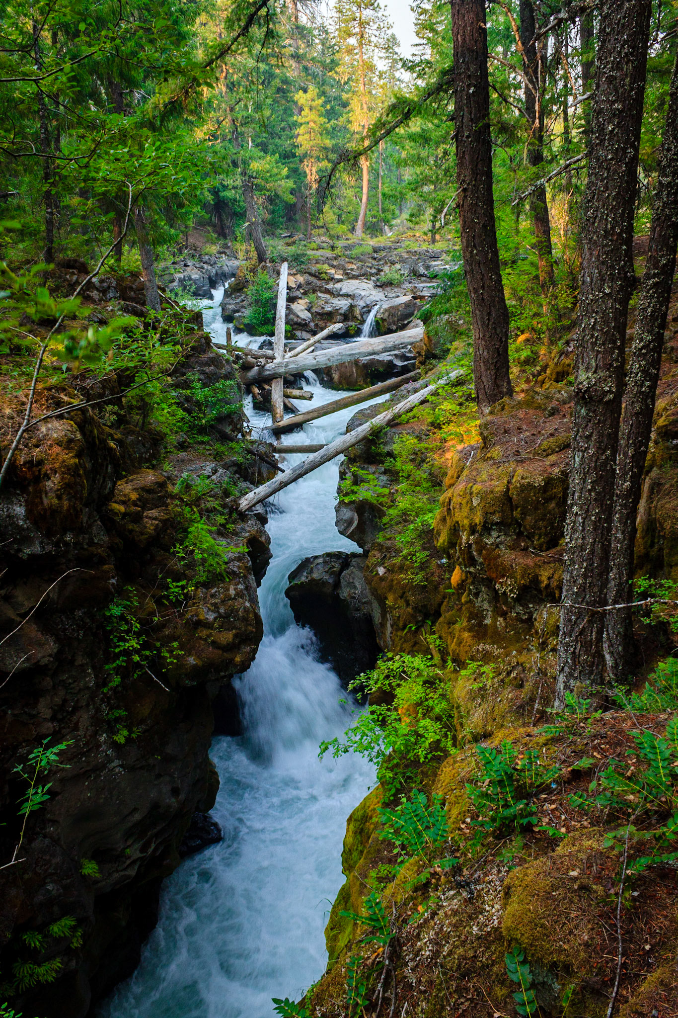 Rogue River Gorge