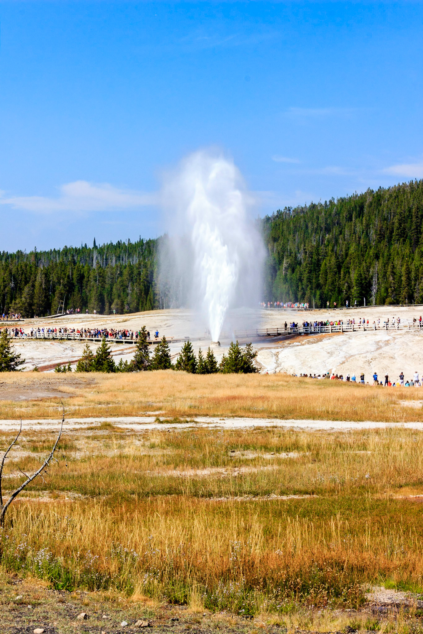 Beehive Geyser