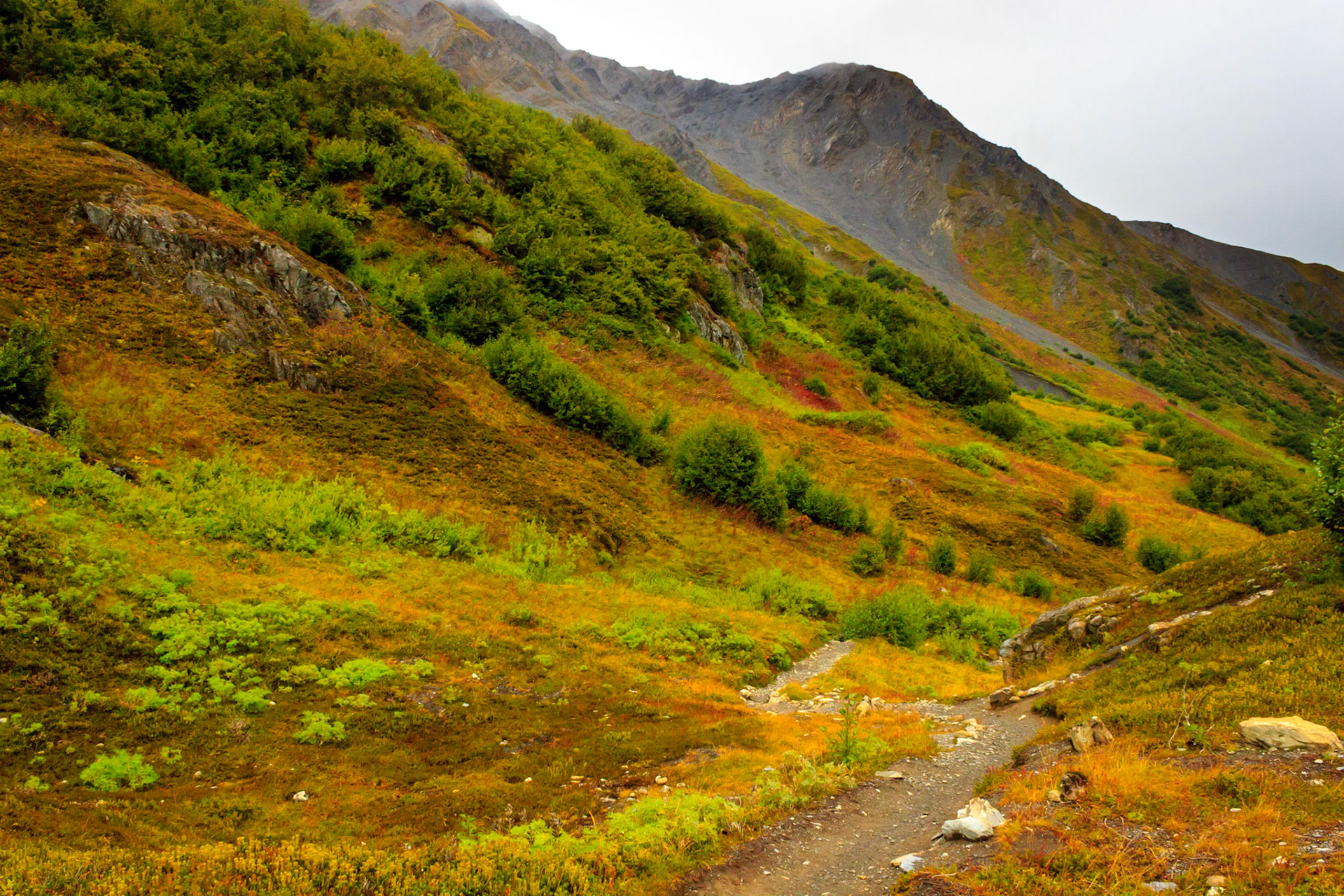 Harding Icefield Trail