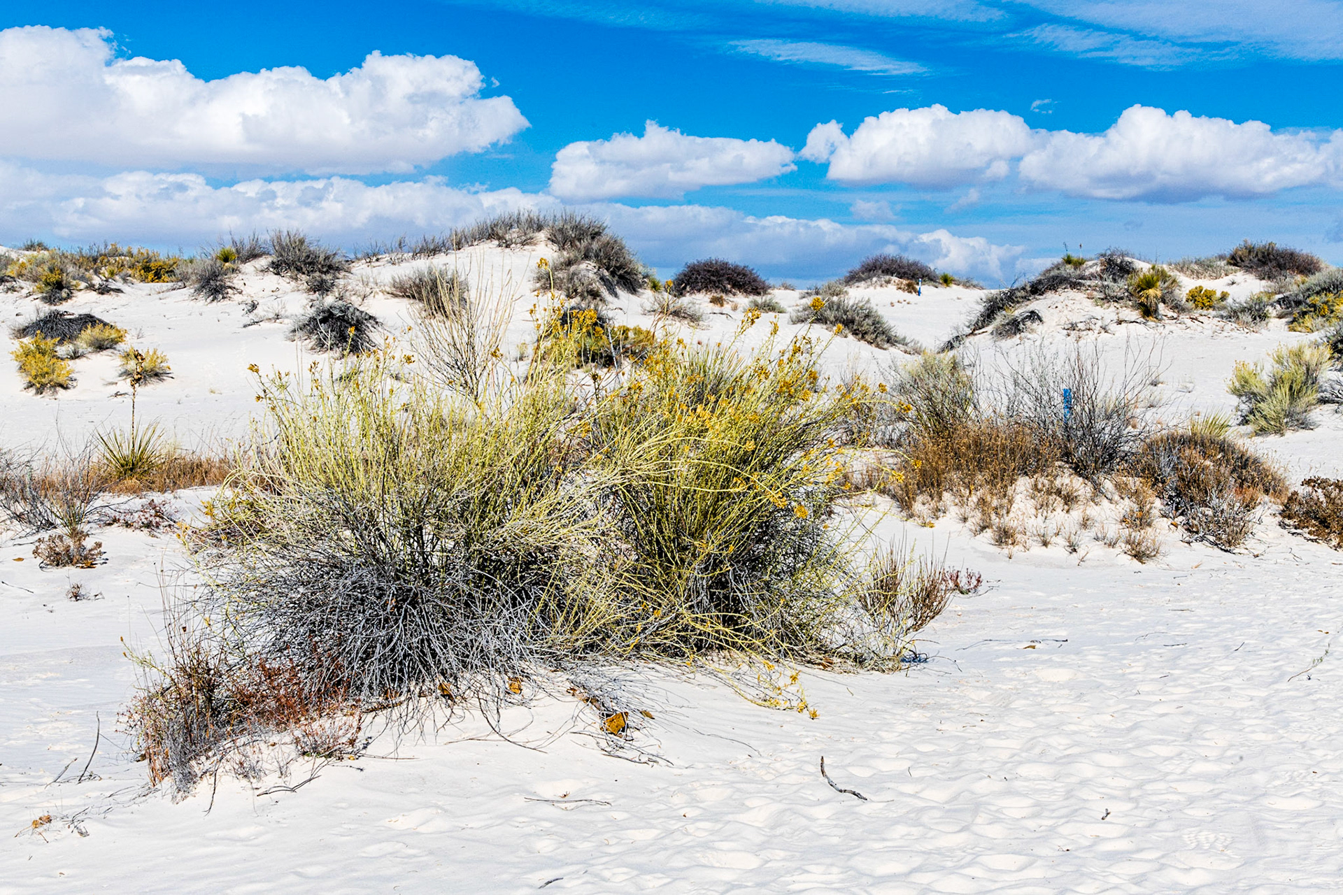 Dune Life Nature Trail