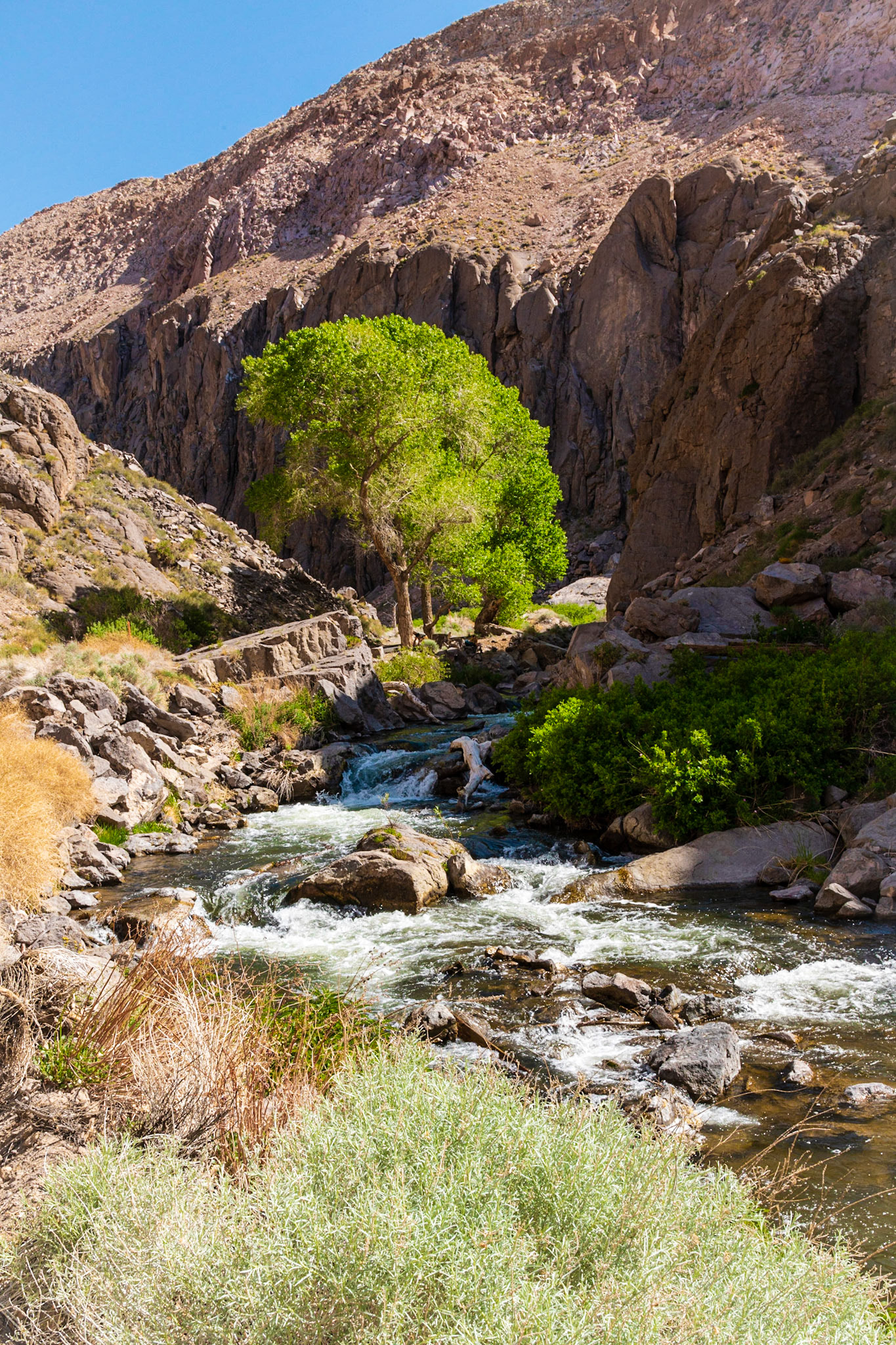 Owens River Gorge