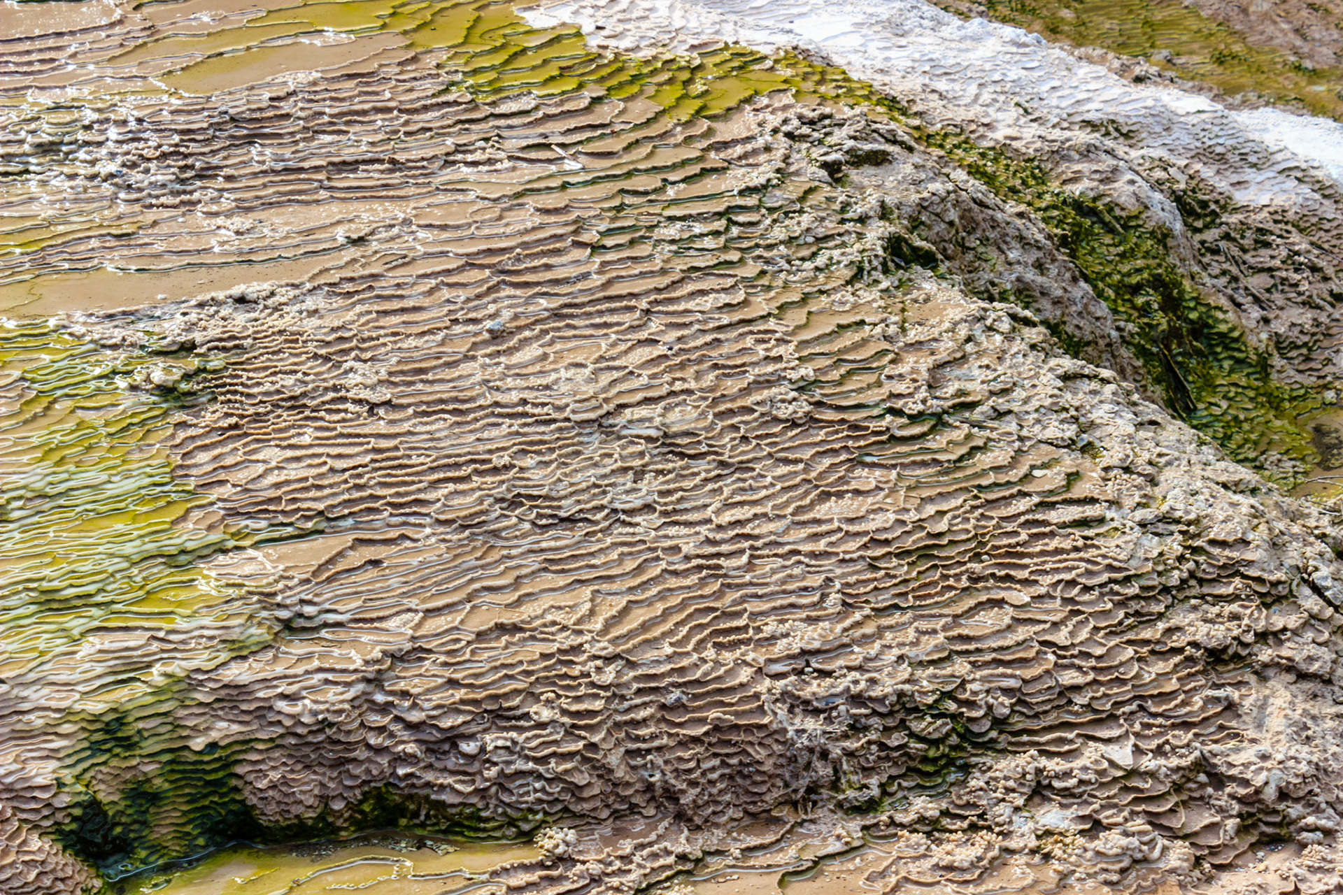 Mineral layers left behind by evaporated water.