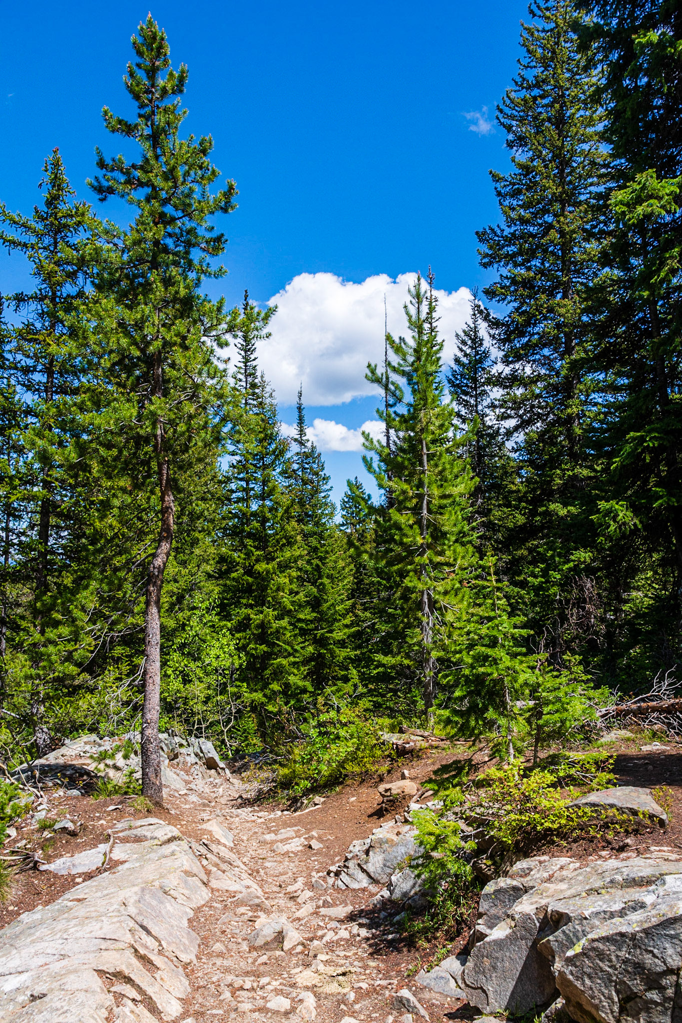 Trail to Paintbrush Canyon