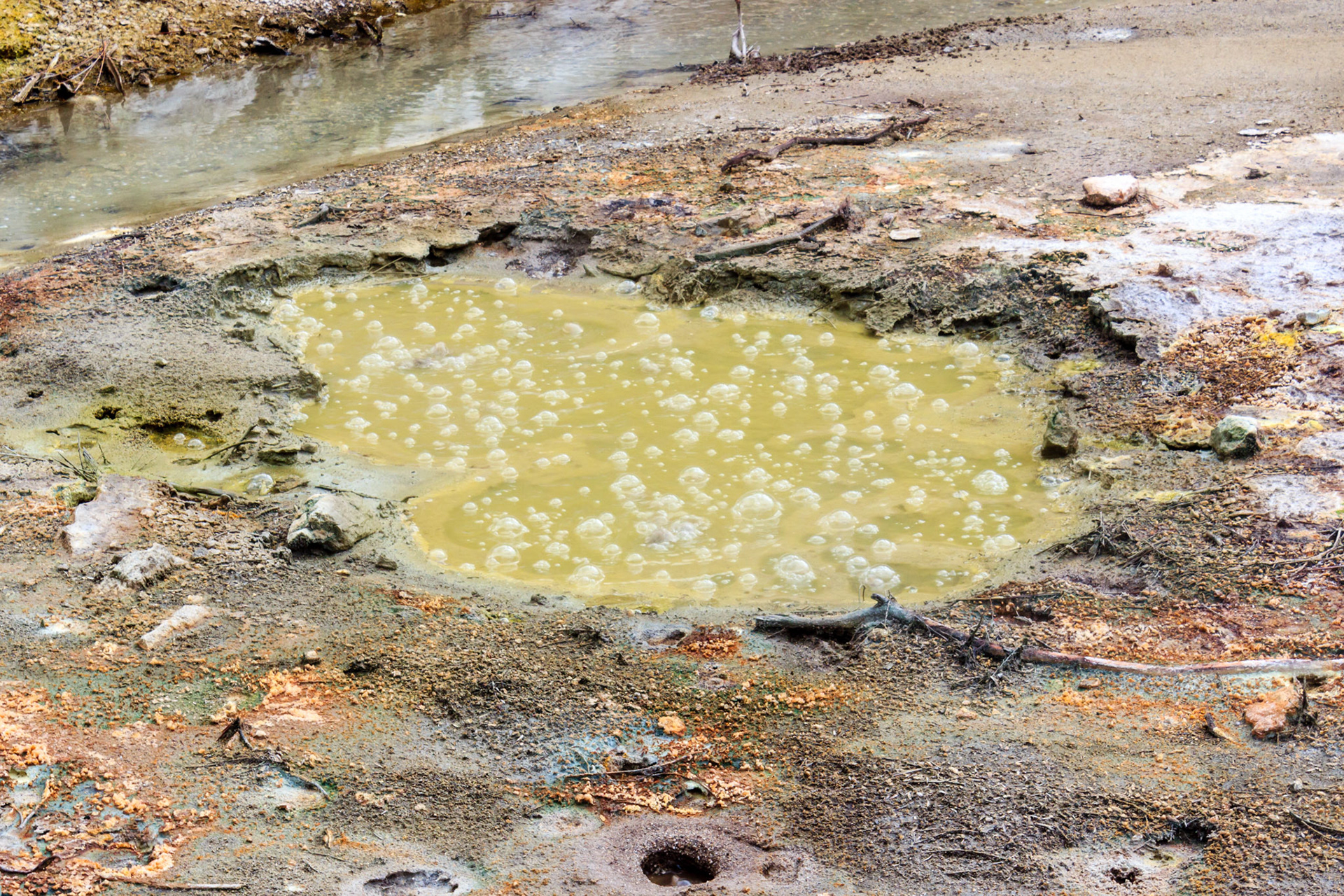 More Wai-O-Tapu Thermal Wonderland.