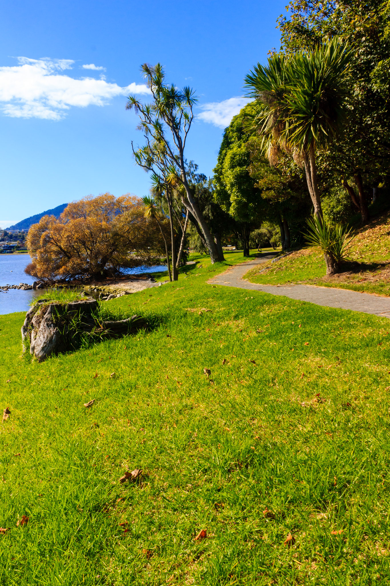 Lake Taupo