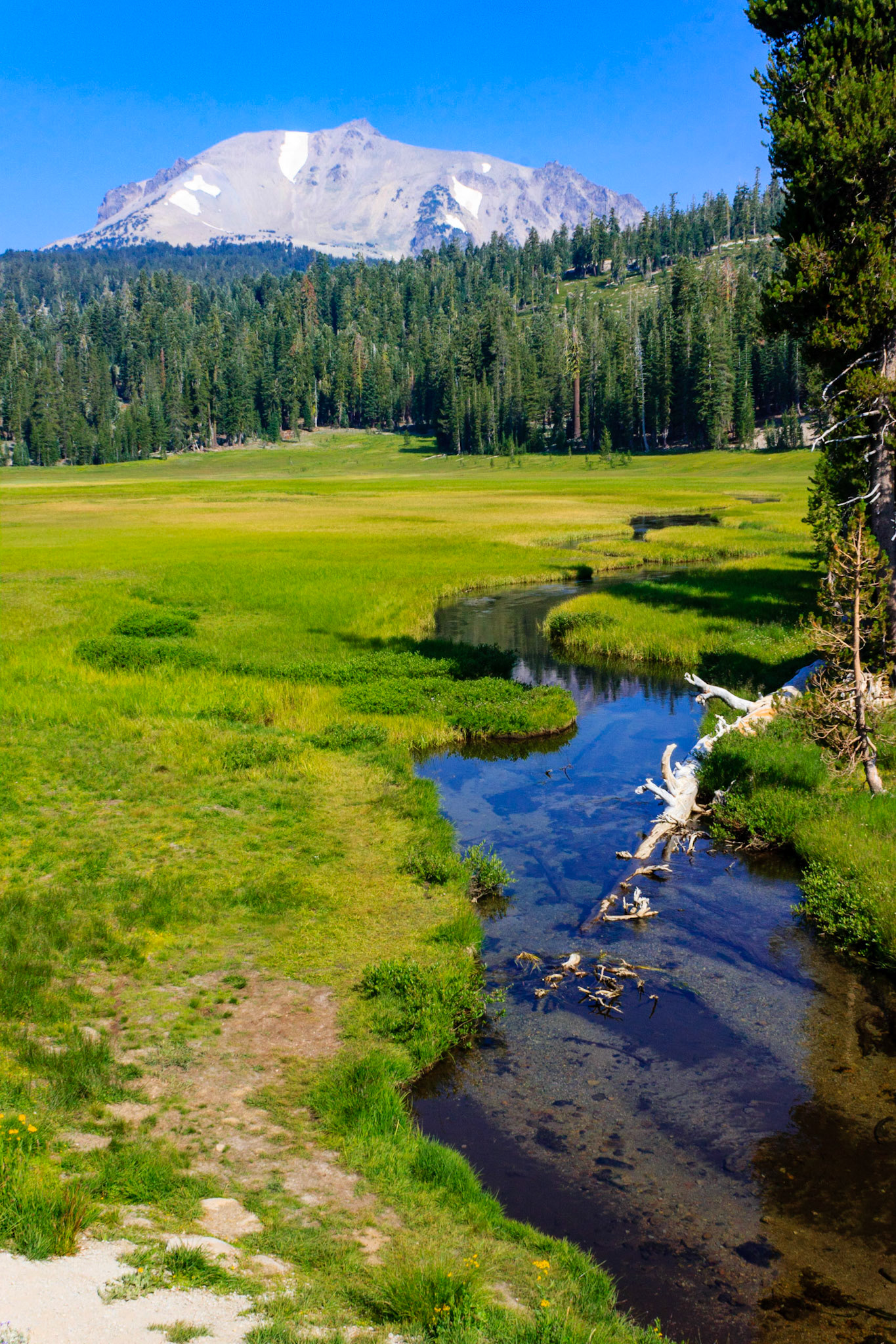 Upper King's Creek Meadow and Lassen Peak
