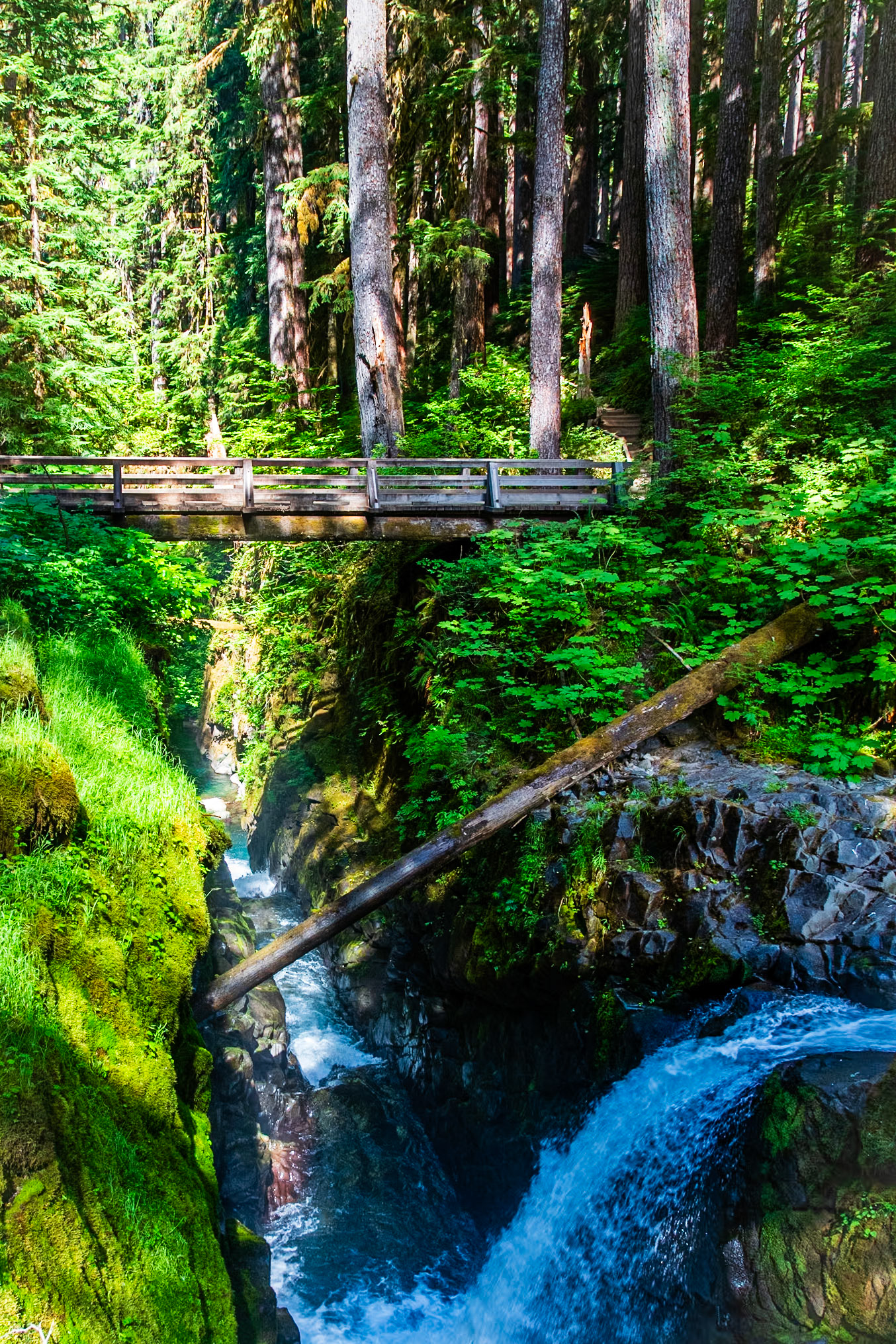 Sol Duc Falls