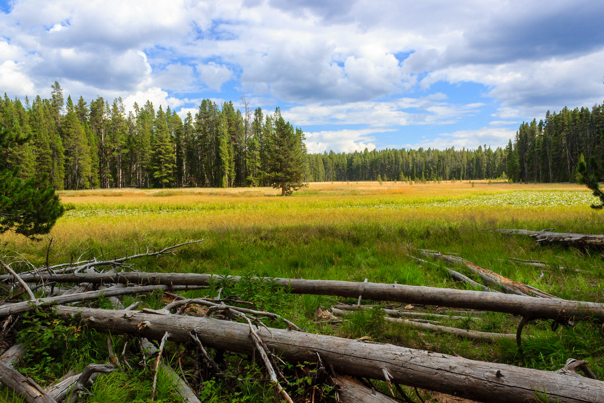 Ribbon Lake