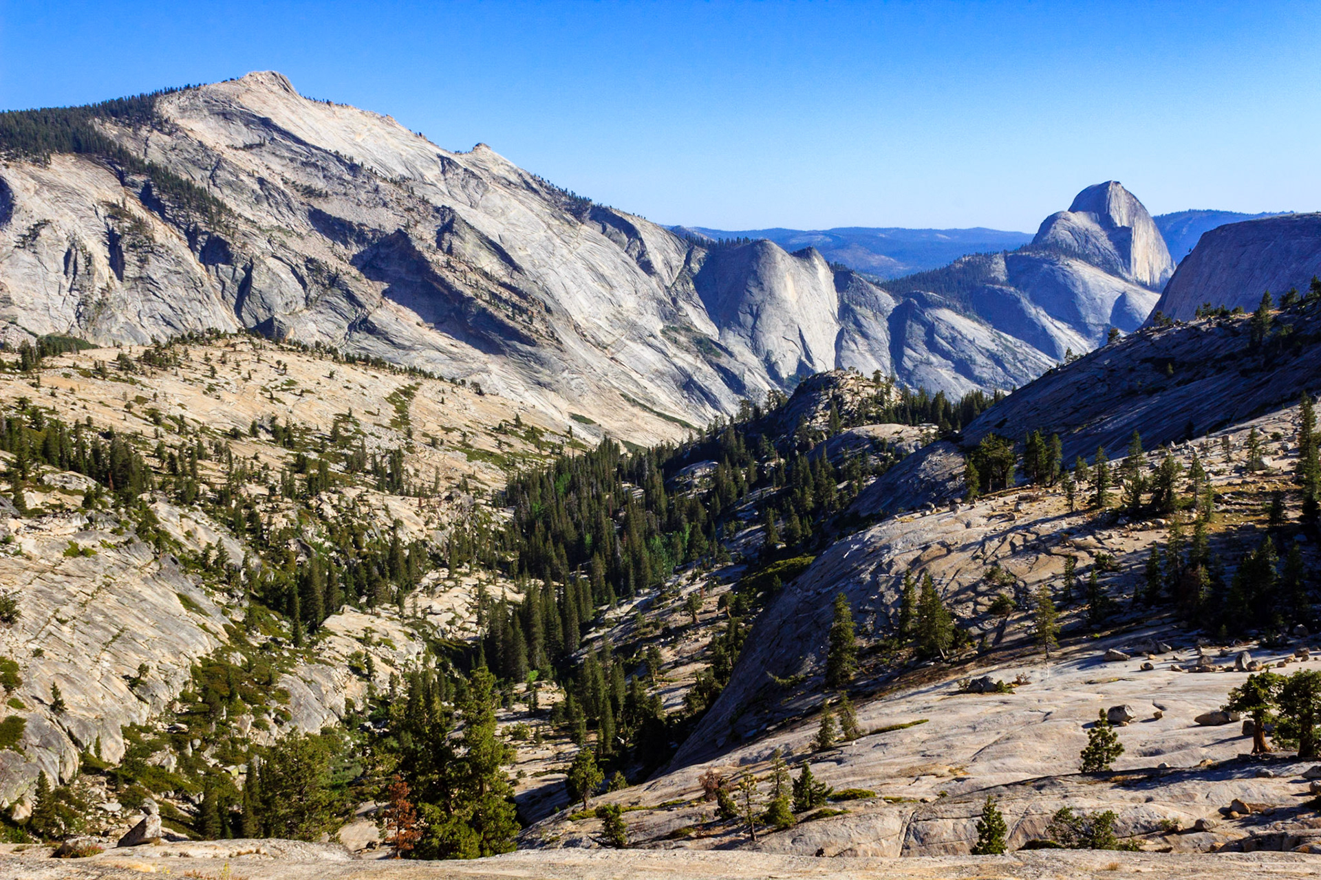 Half Dome and Cloud's Rest from Olmsted Point
