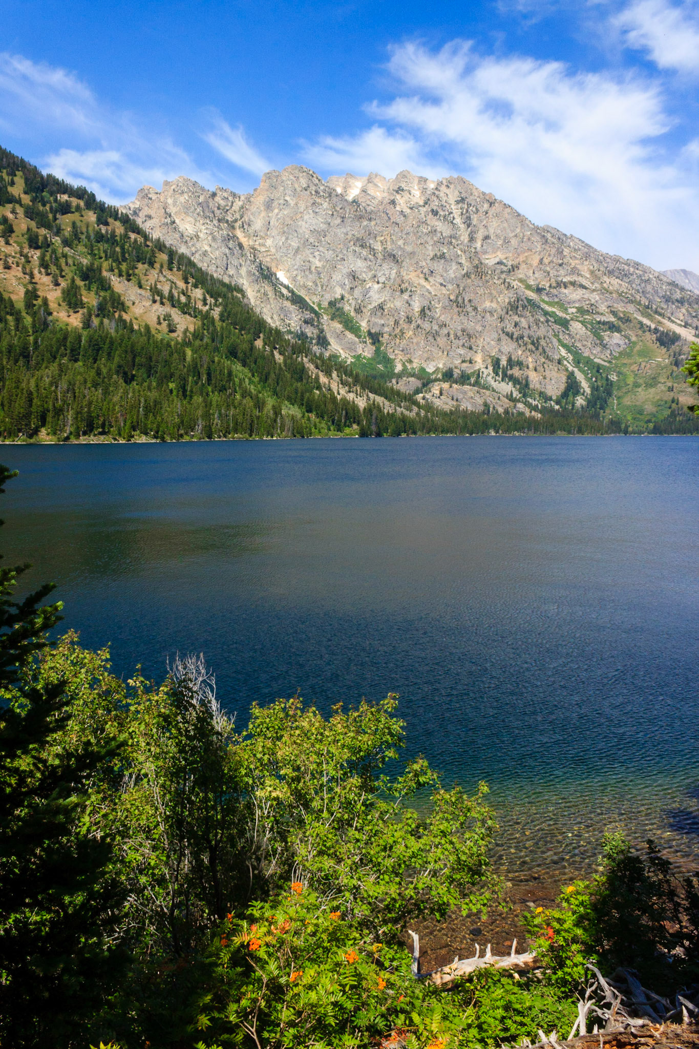 Jenny Lake