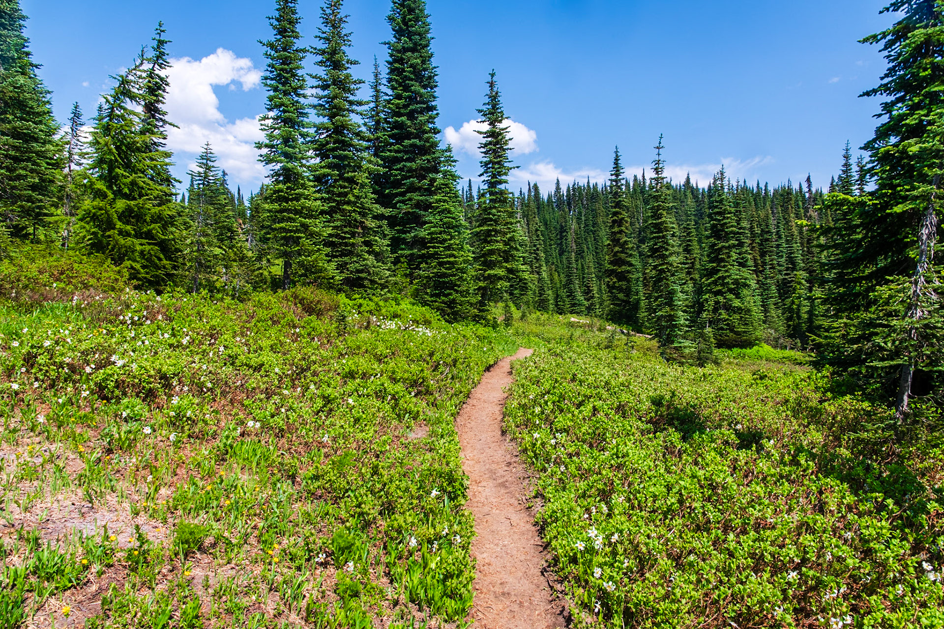 High Lakes Trail
