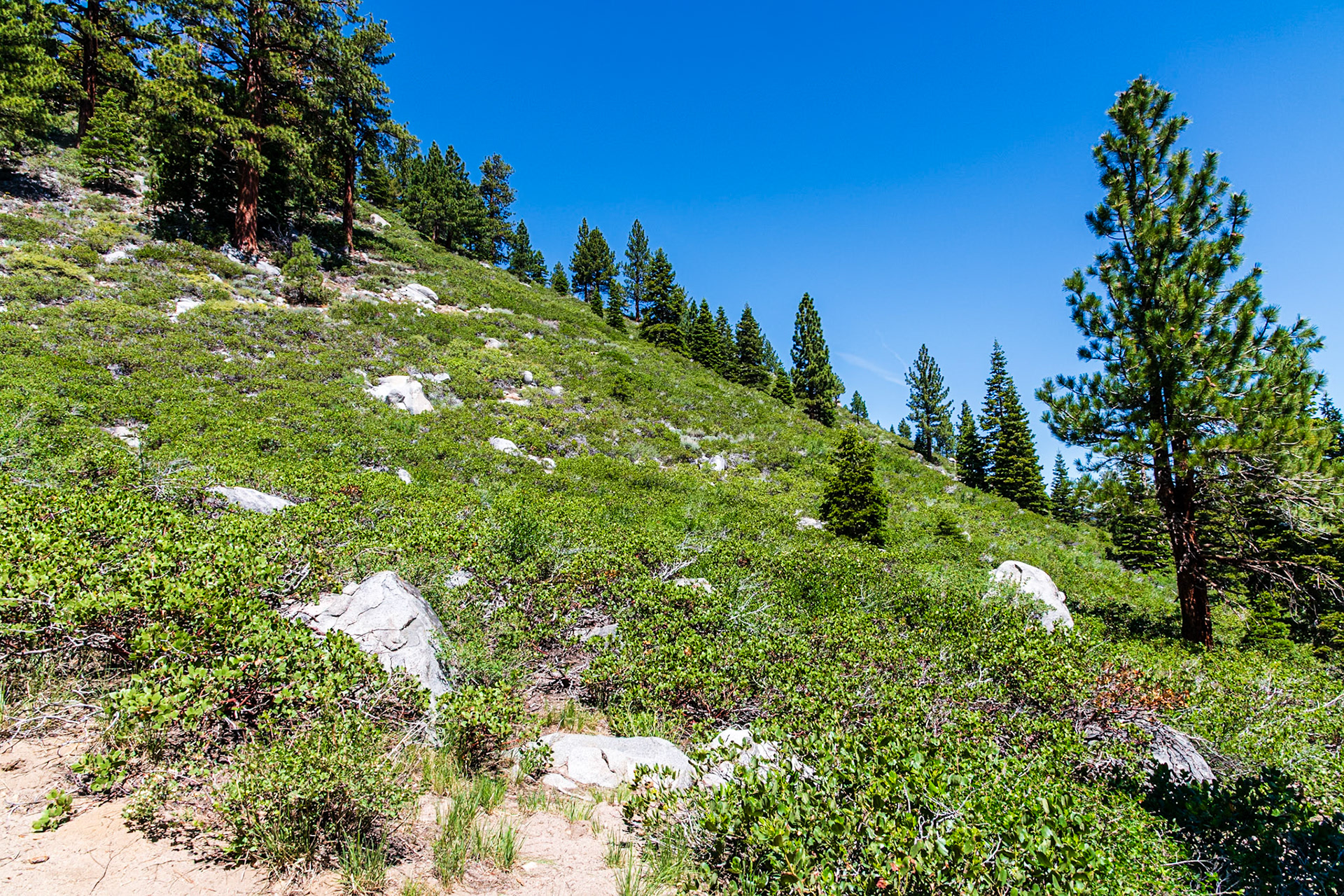 Sherwin Lakes Trail