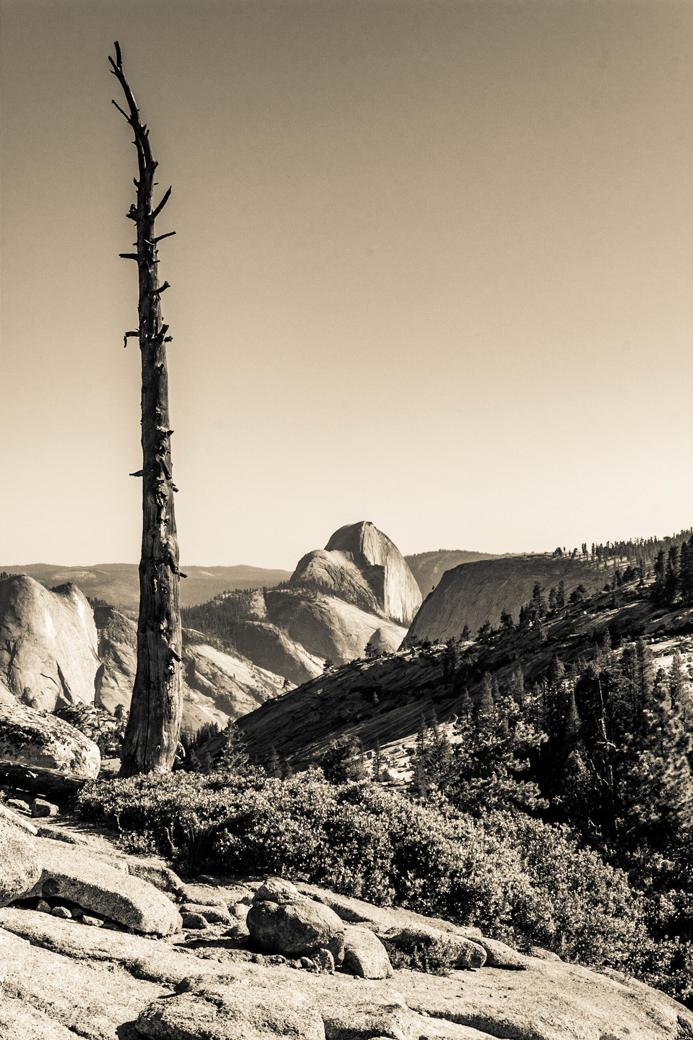Half Dome from Olmsted Point