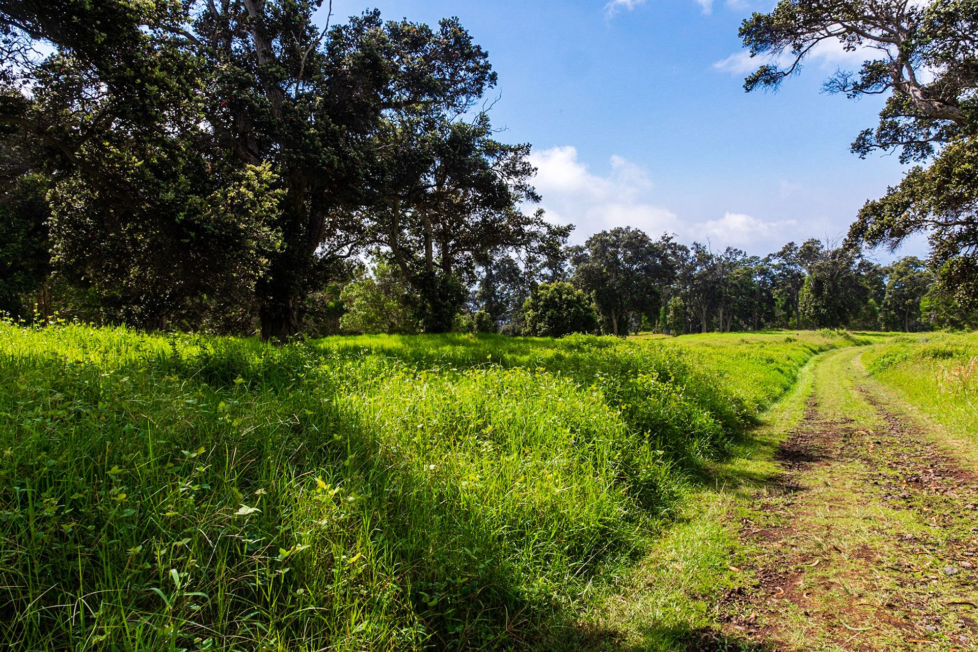 Pit Crater Trail