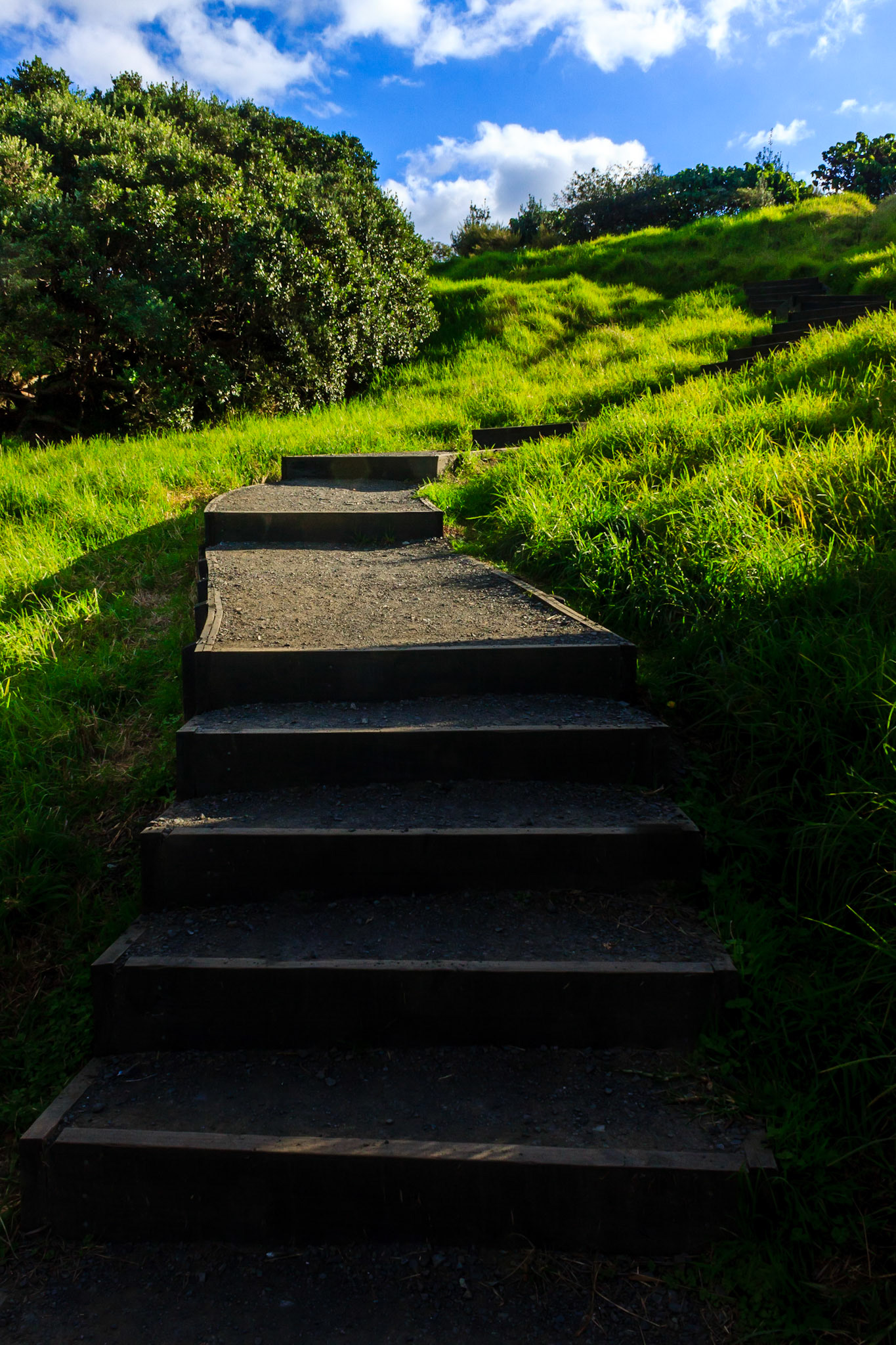 Steps to Mount Eden