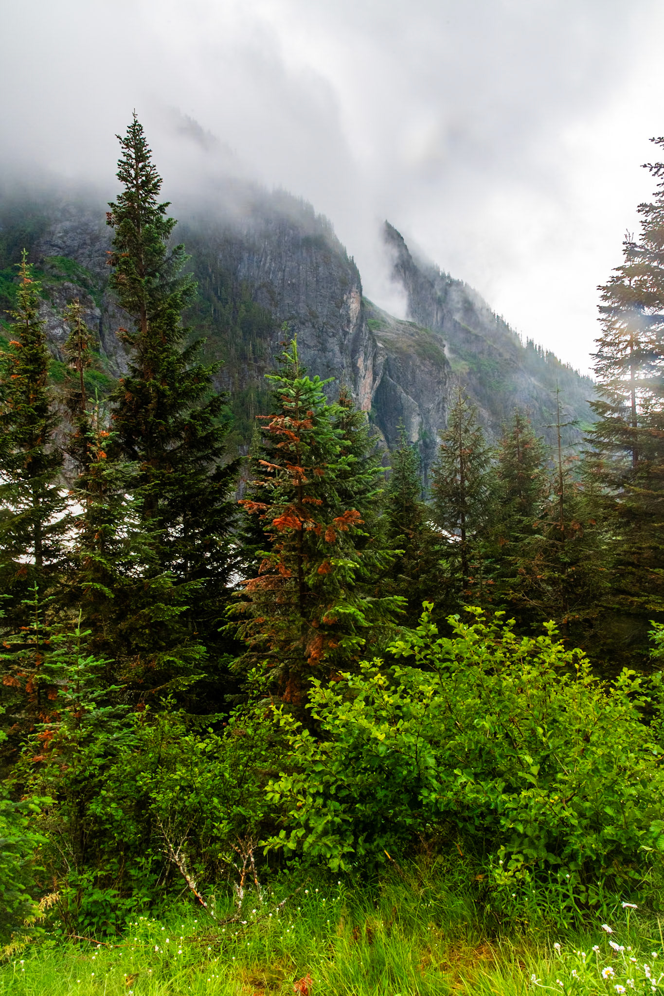 View of Johannesburg Mountain from Cascade Pass Trailhead