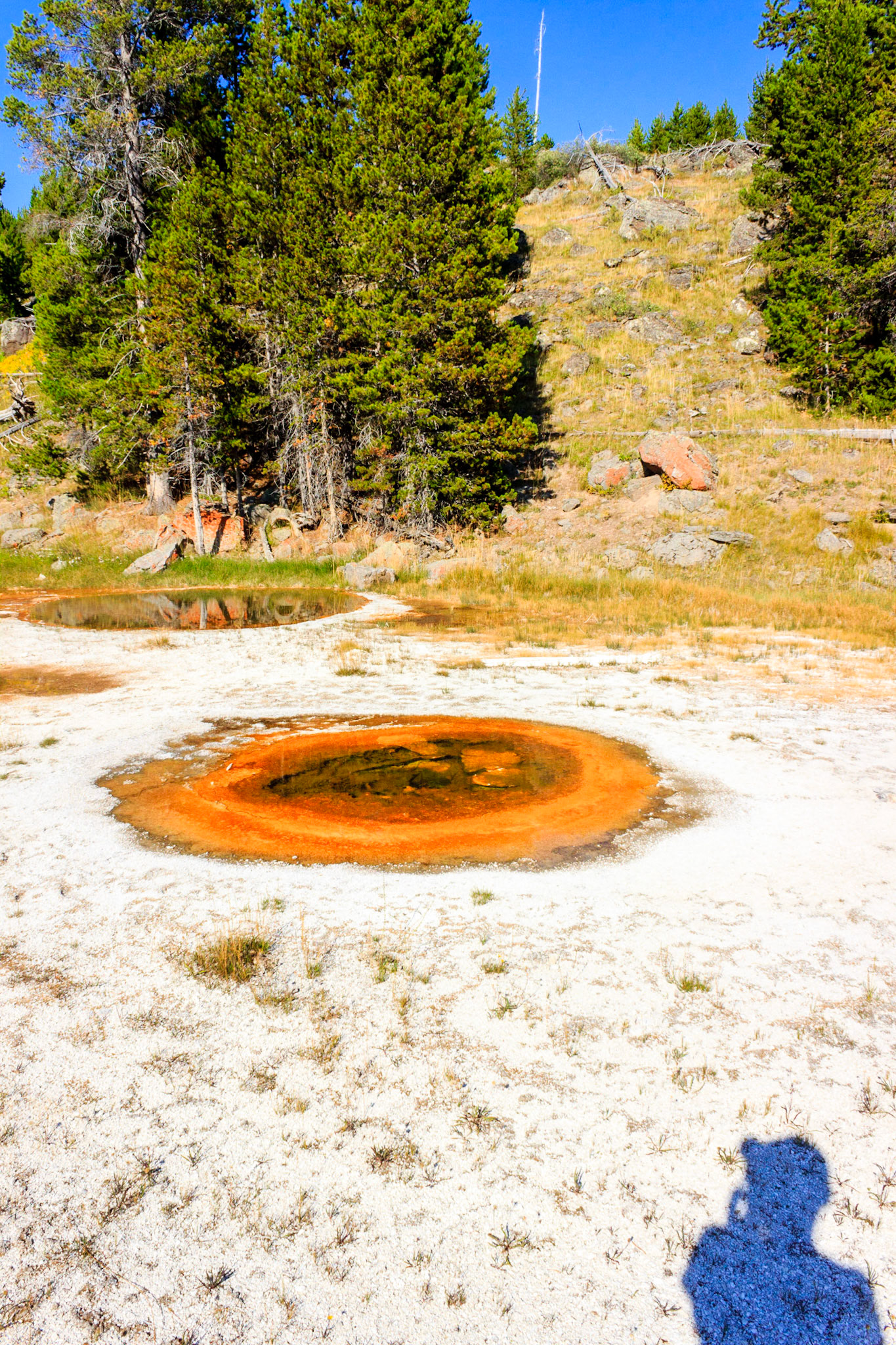 Upper Geyser Basin