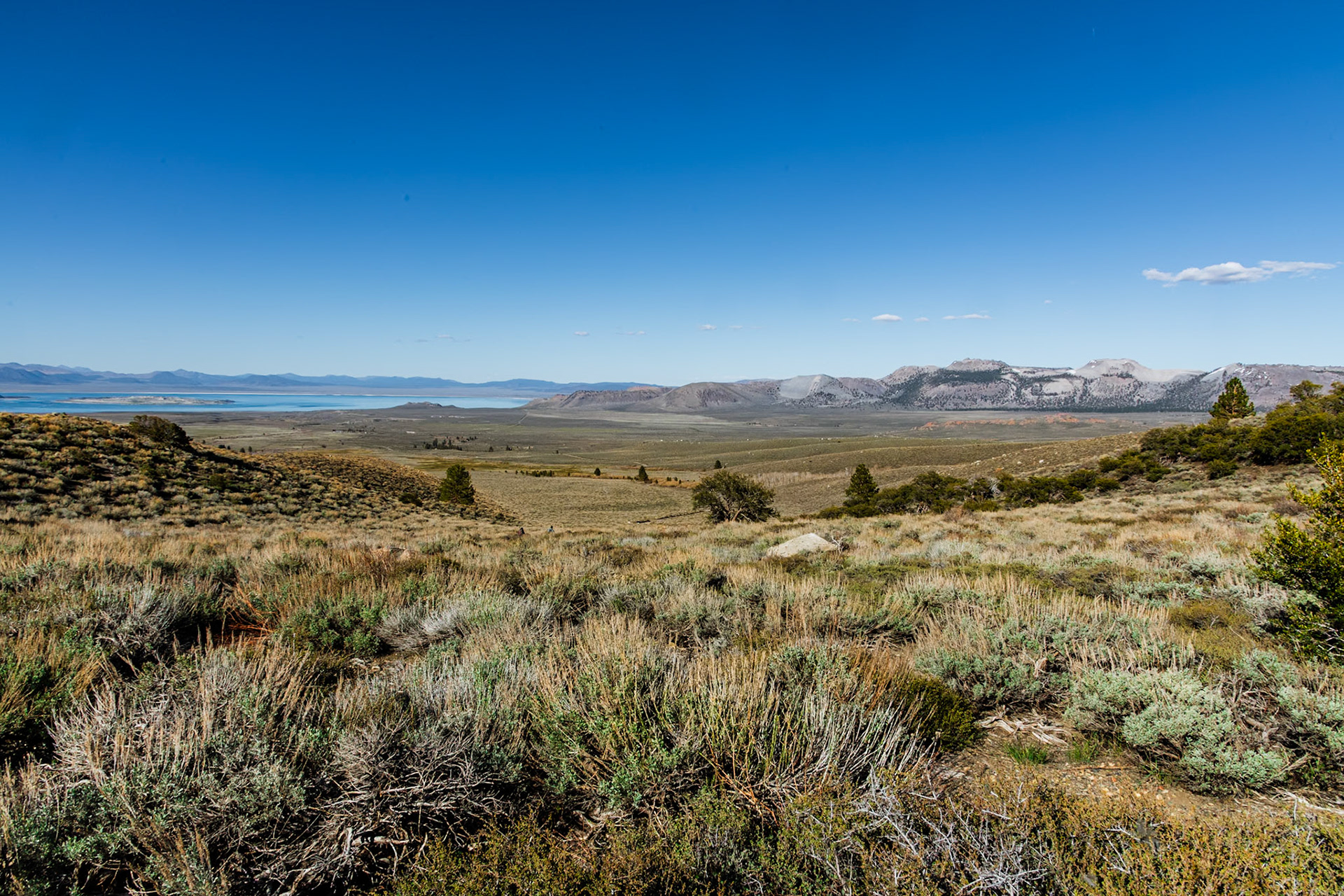 Mono Lake and Crater Mountain.