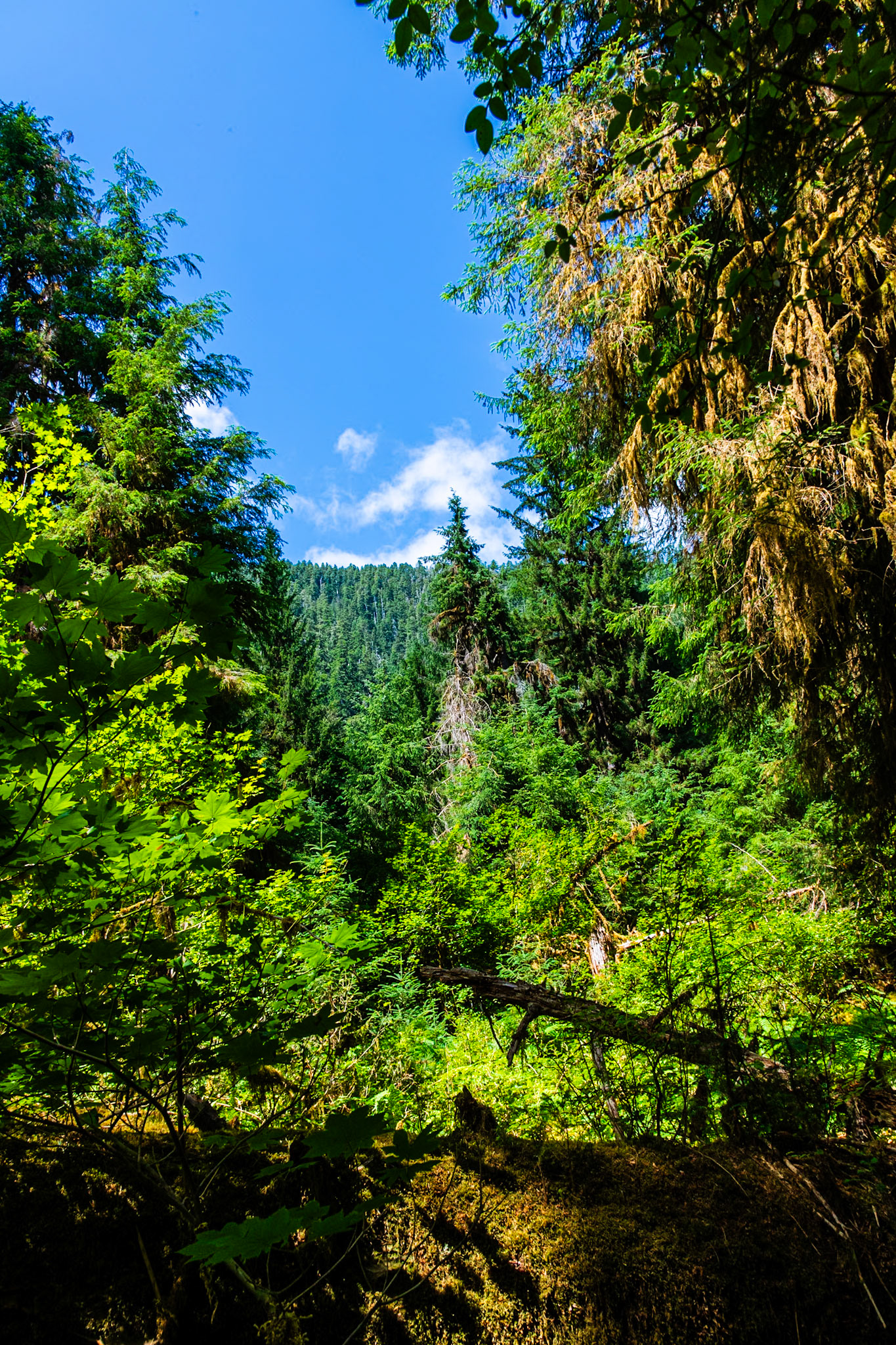 Spruce Nature Trail