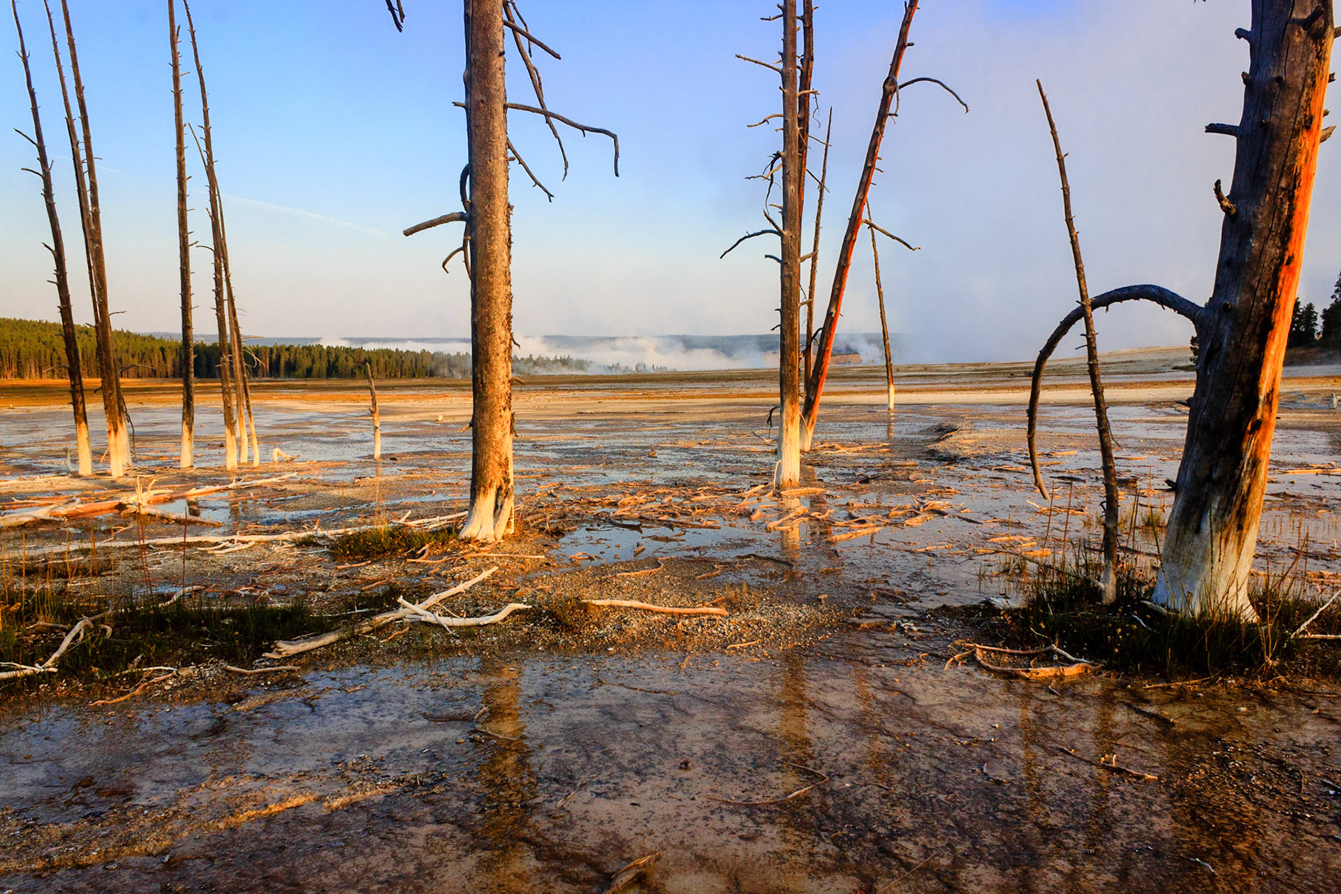 Lower Geyser Basin