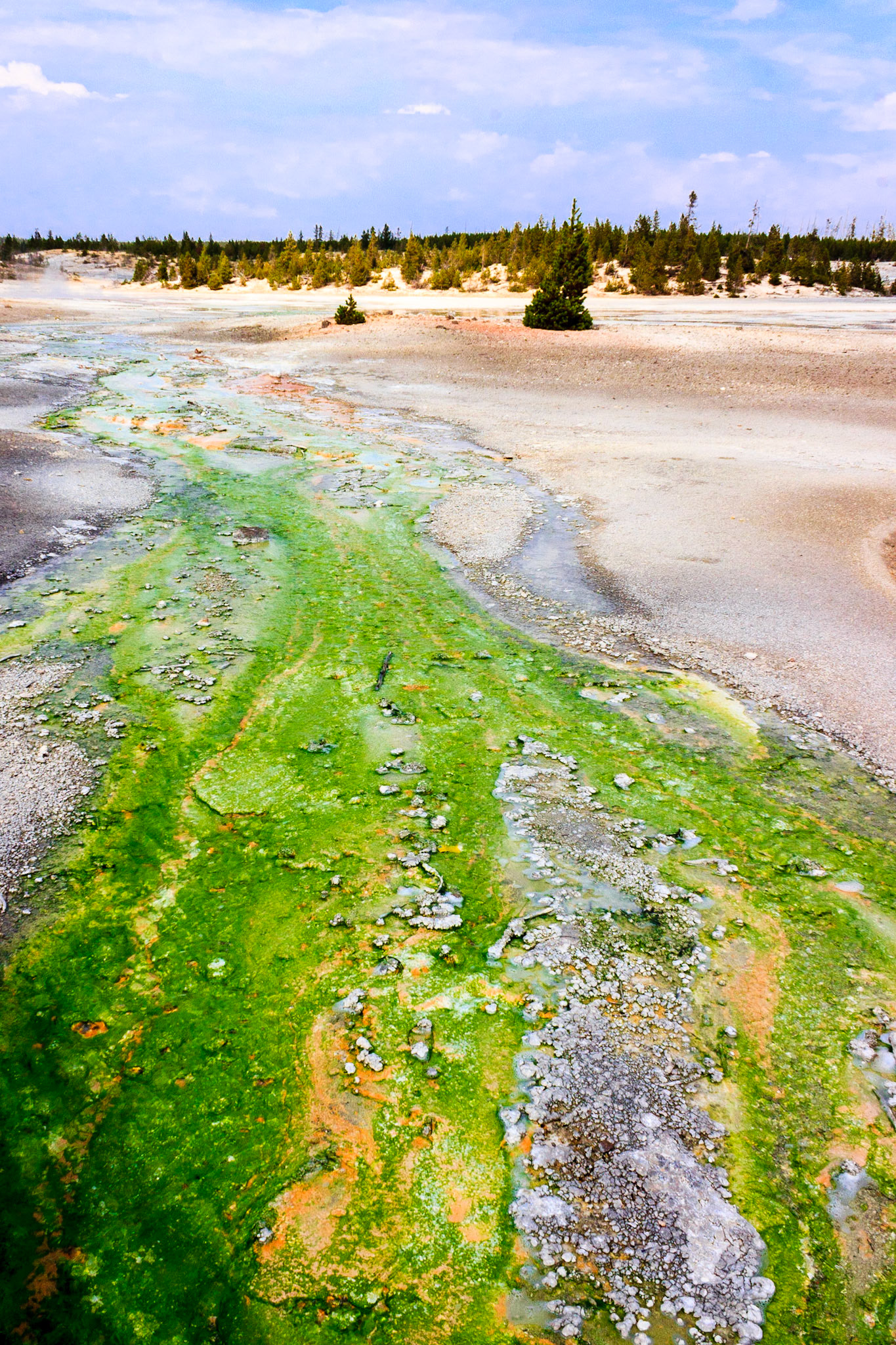 Norris Geyser Basin