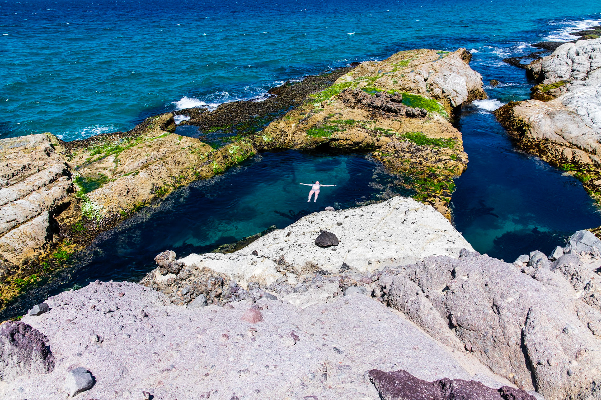 Tidepools with Human