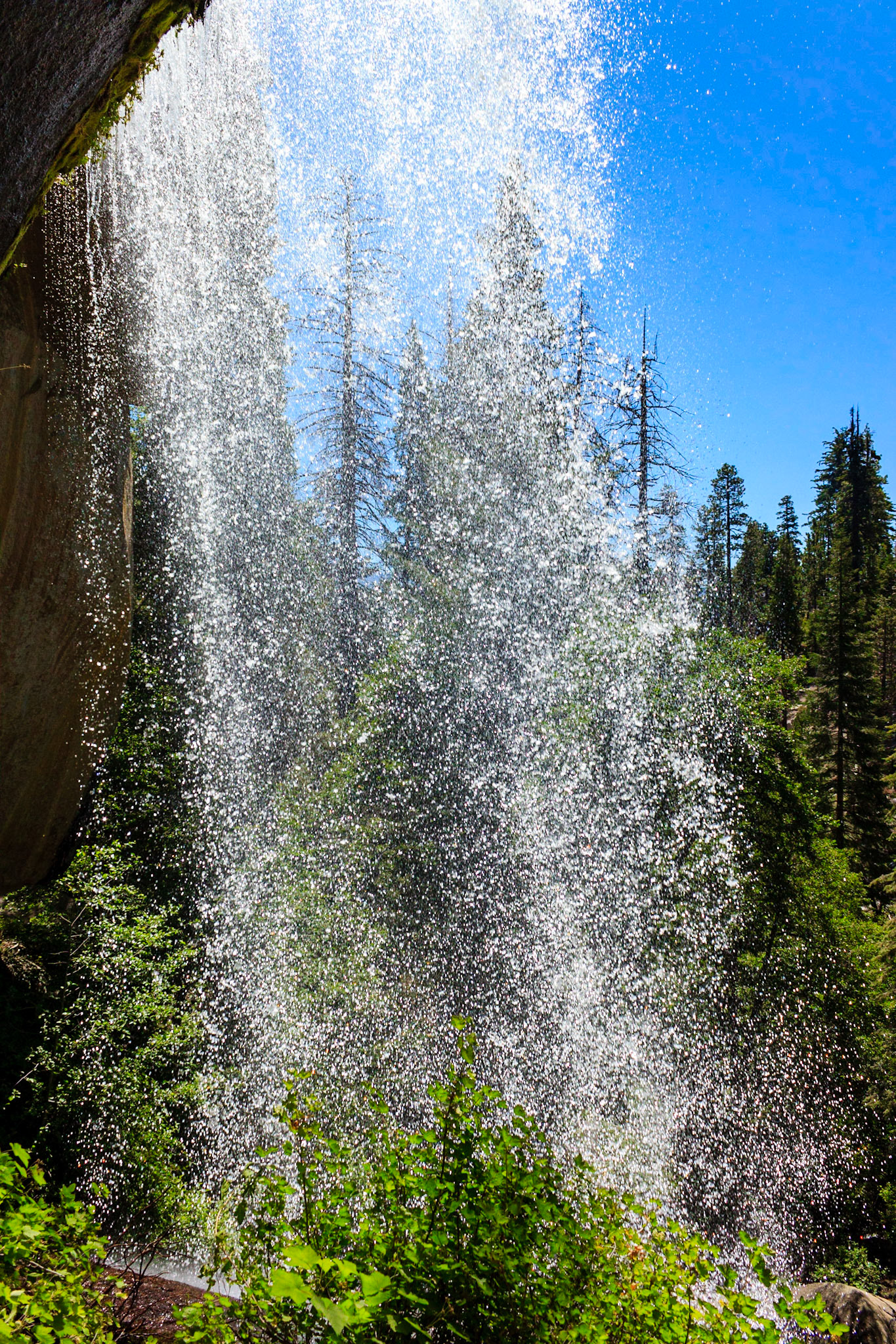 Nobe Young Creek Falls