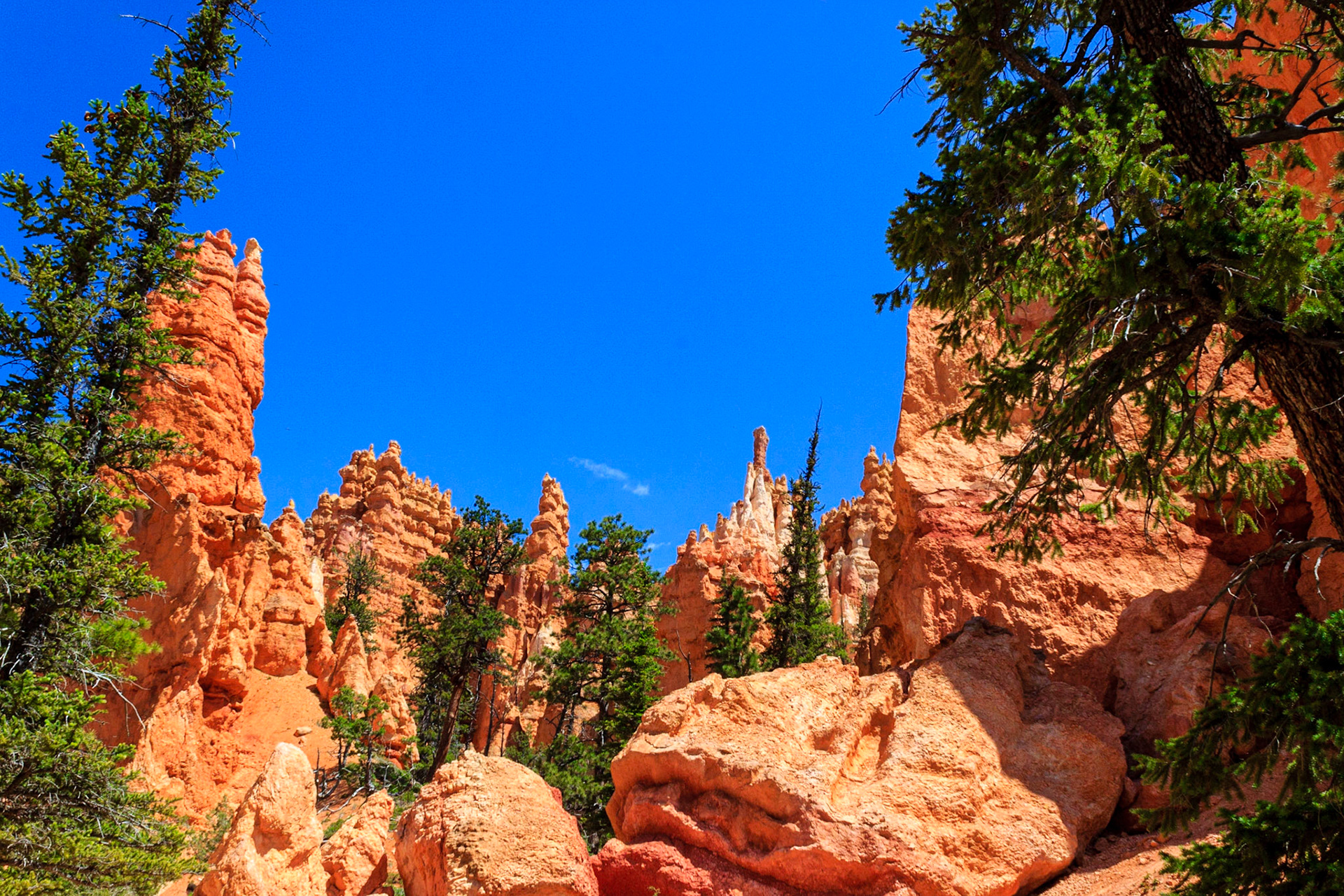 Along the Navajo Loop