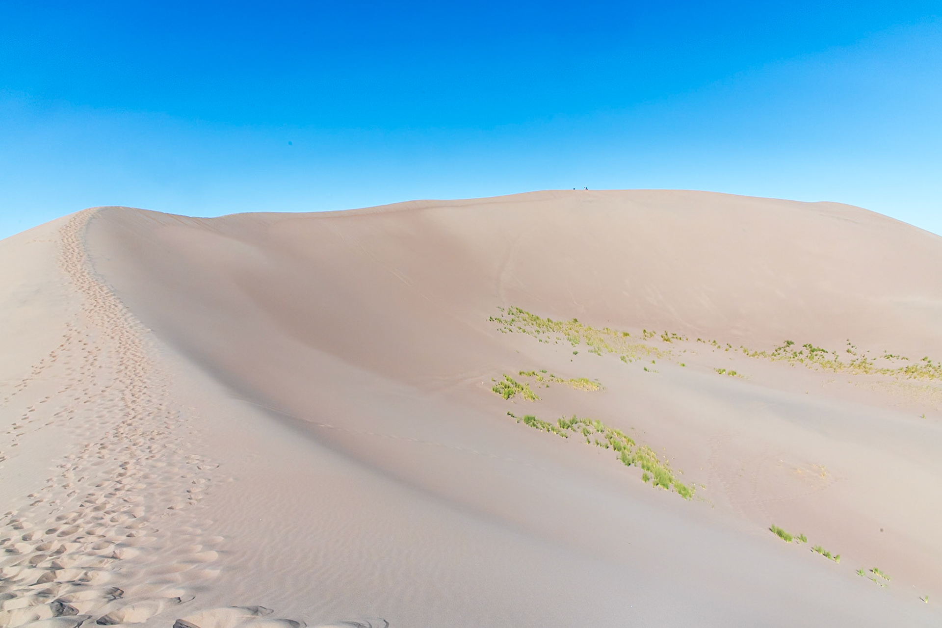 Sand Dunes