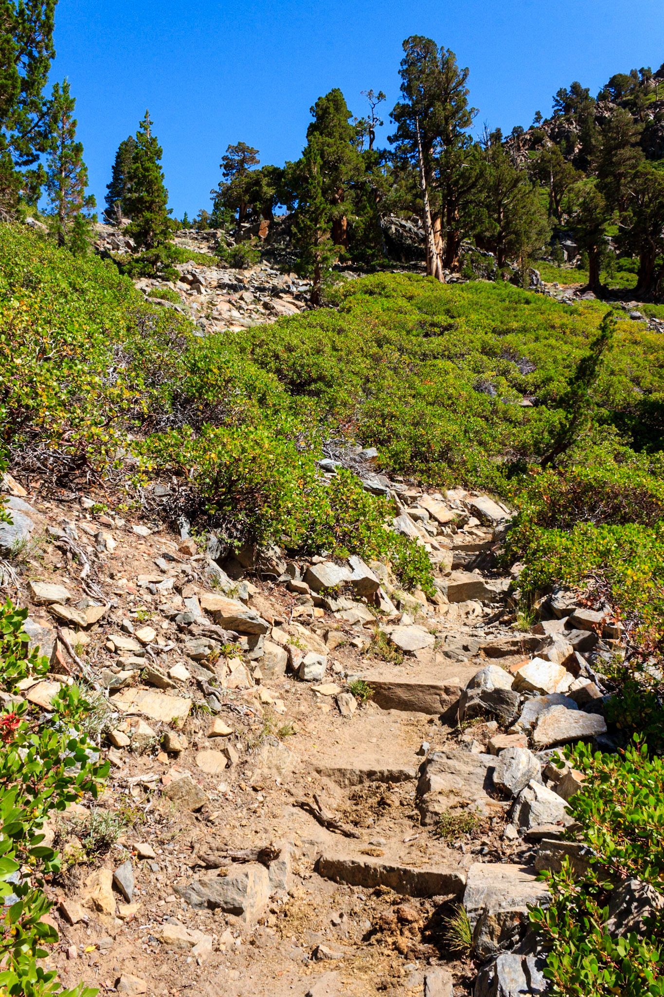 Shadow Creek Trail